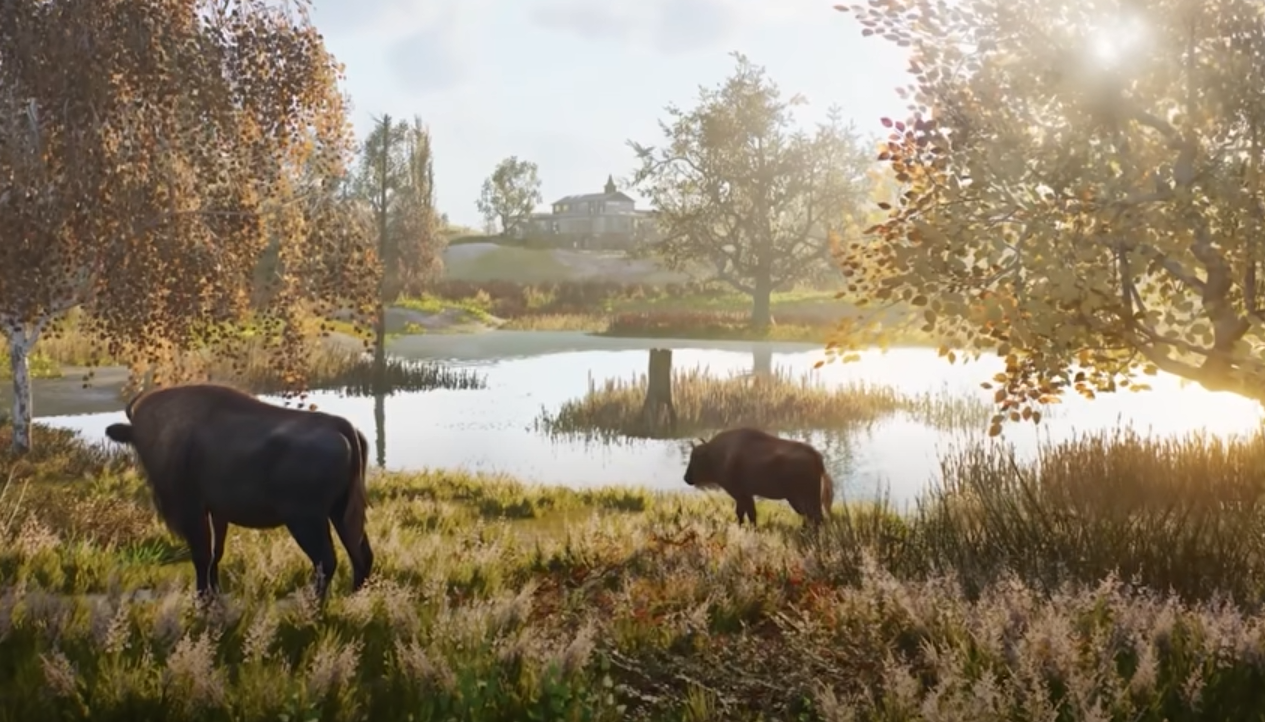 Planet Zoo 2 How to Increase Biodiversity
