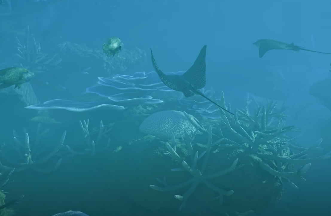 Planet Zoo 2 How to Change Water Temperature