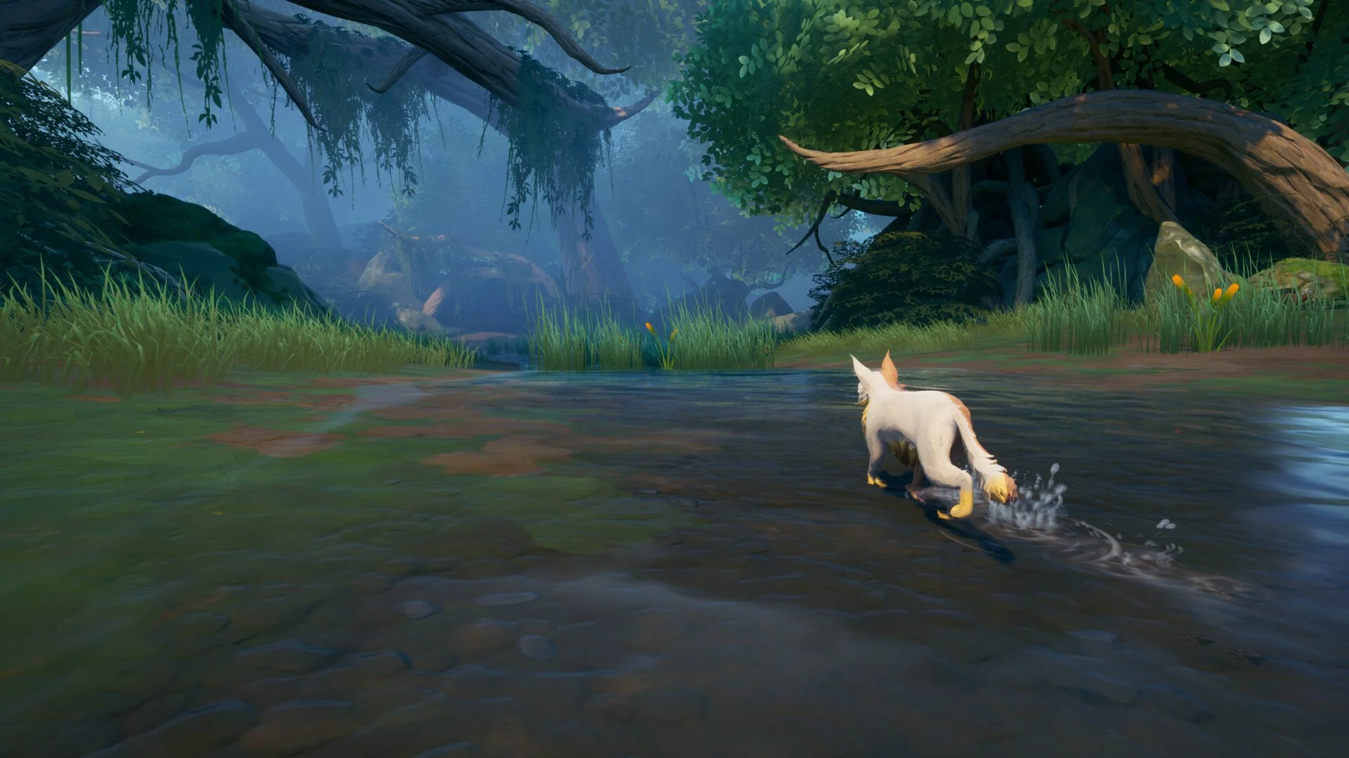 Warrior Cats Clans of the Forest: 14 Beginner Tips &amp; Tricks