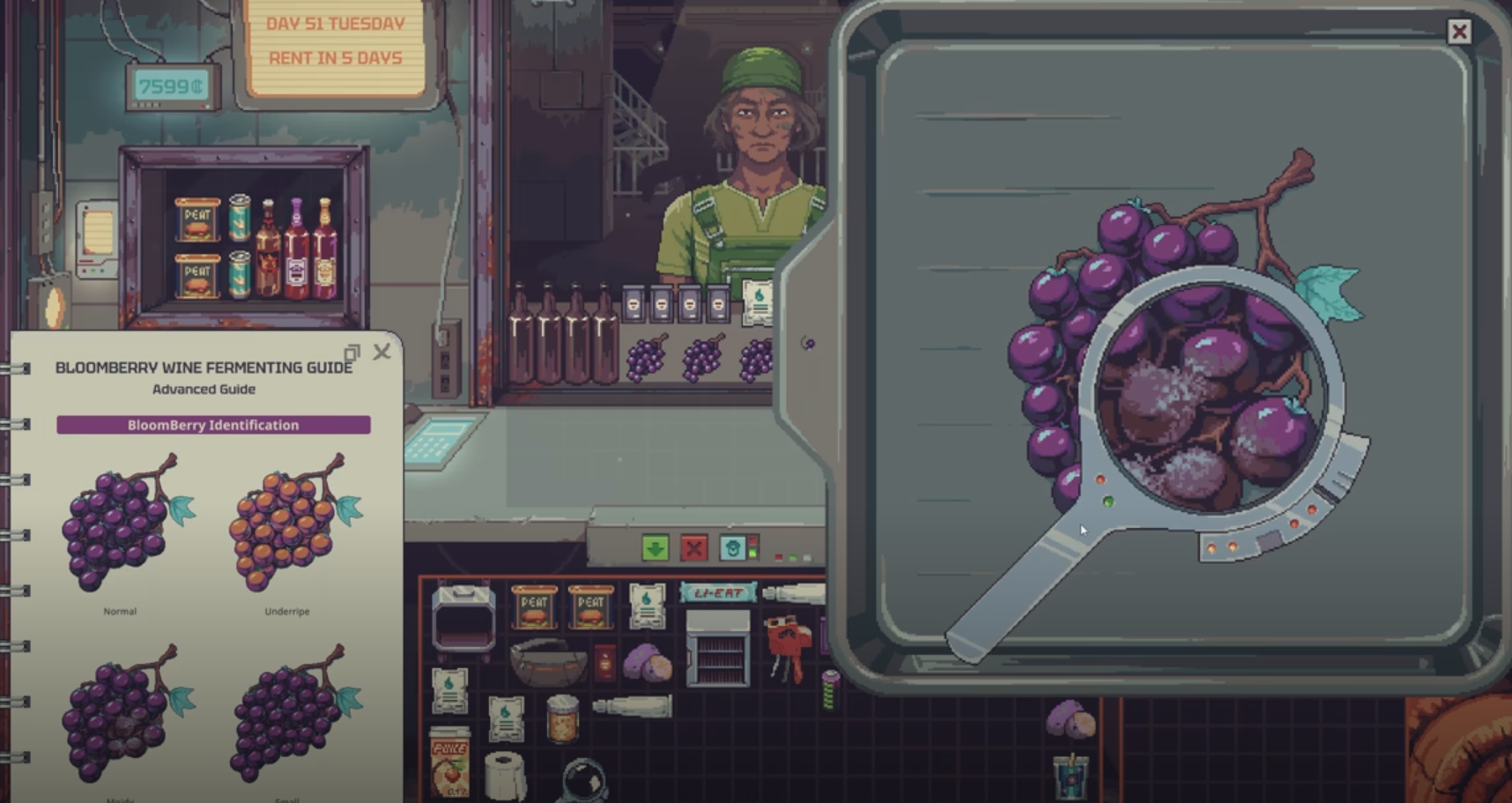 Probably Stolen BloomBerry Guide: How to Get and Grow It