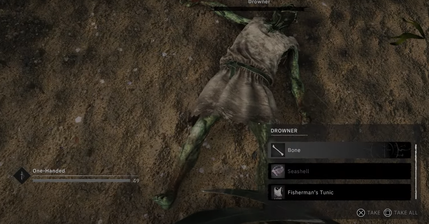 Where to Find Seashells in Tainted Grail The Fall of Avalon