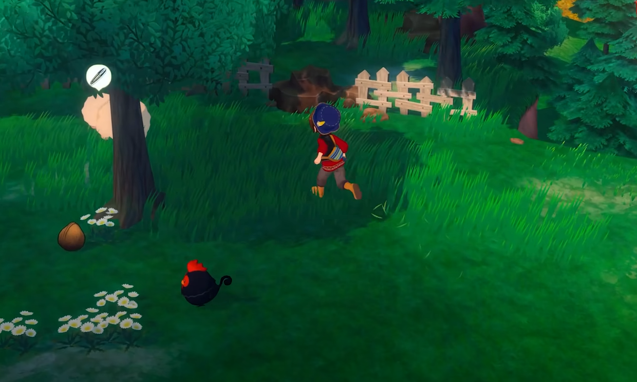 Story of Seasons Grand Bazaar How to Forage