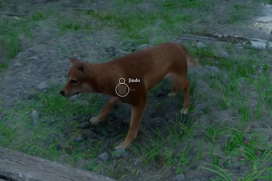 Crimson Desert Jindo Dog Location Guide