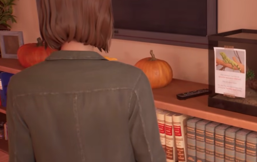 Life Is Strange Reunion: An Empty Home Photo Guide
