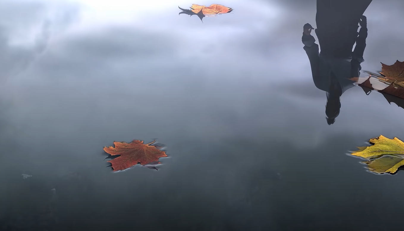 Where Winds Meet DX12 or Not? Normal vs DX12 Guide