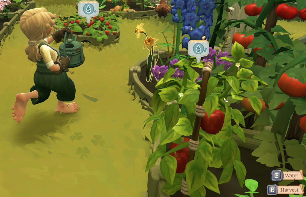 Tales of the Shire: Where to Buy Vegetable Seeds