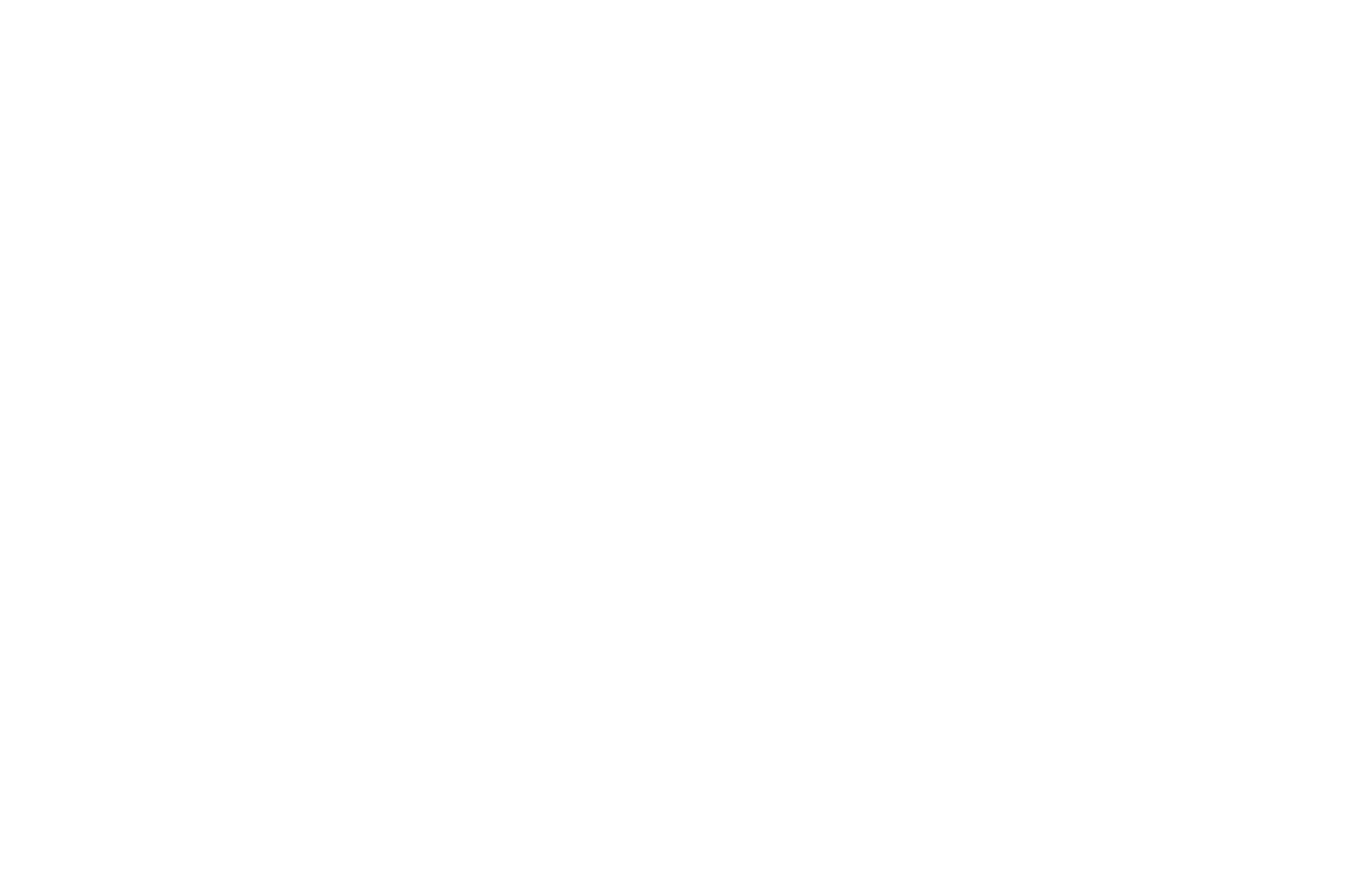 TAS RACING.png