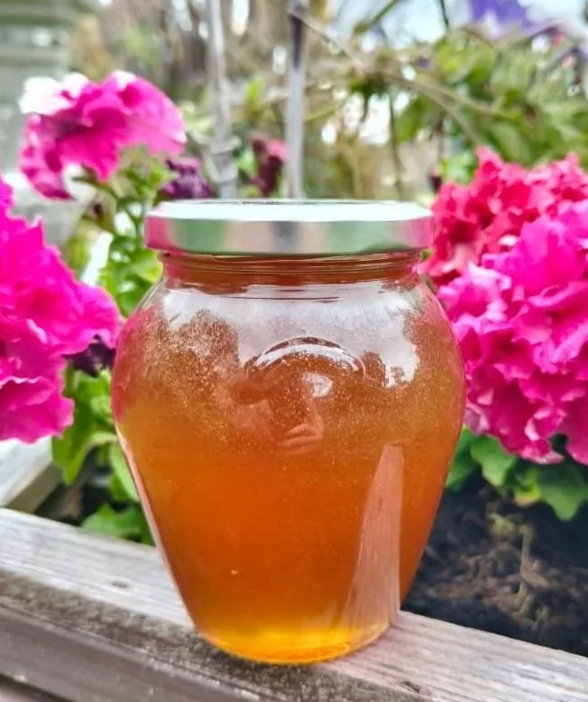 Golden Goodness: Why Honey Is Good for You