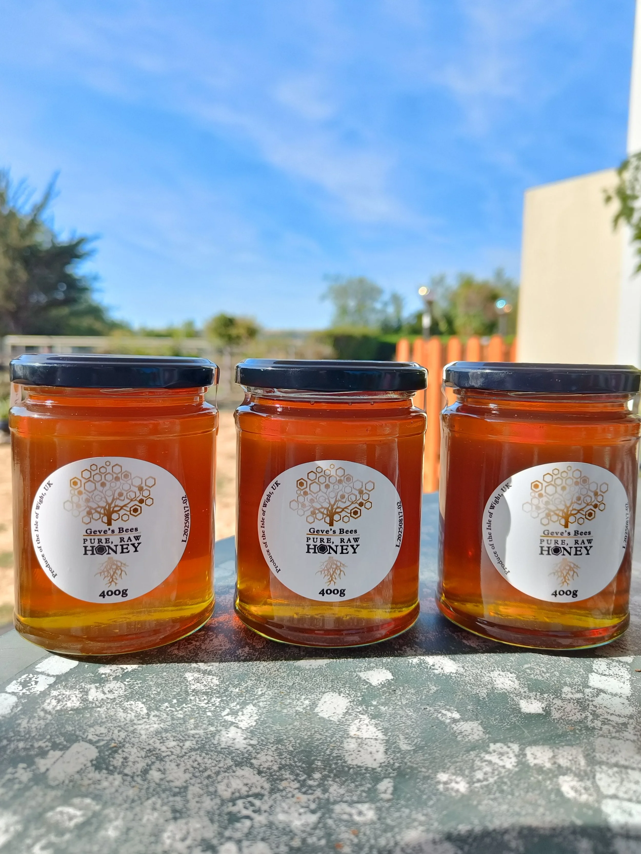 Pure, Raw, Honey (3 Jar Collection)
