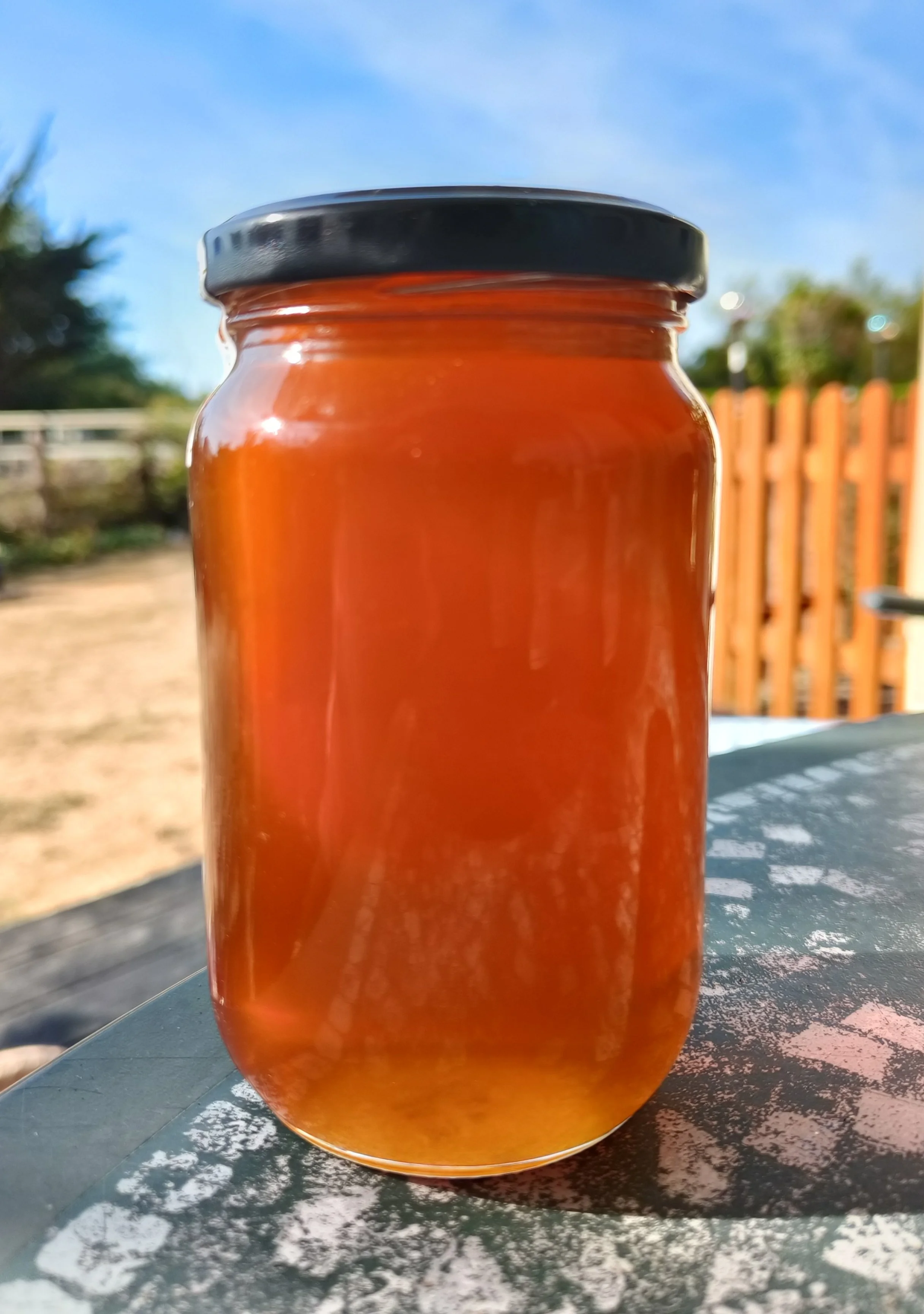 Pure, Raw, Honey (1lb Jar)