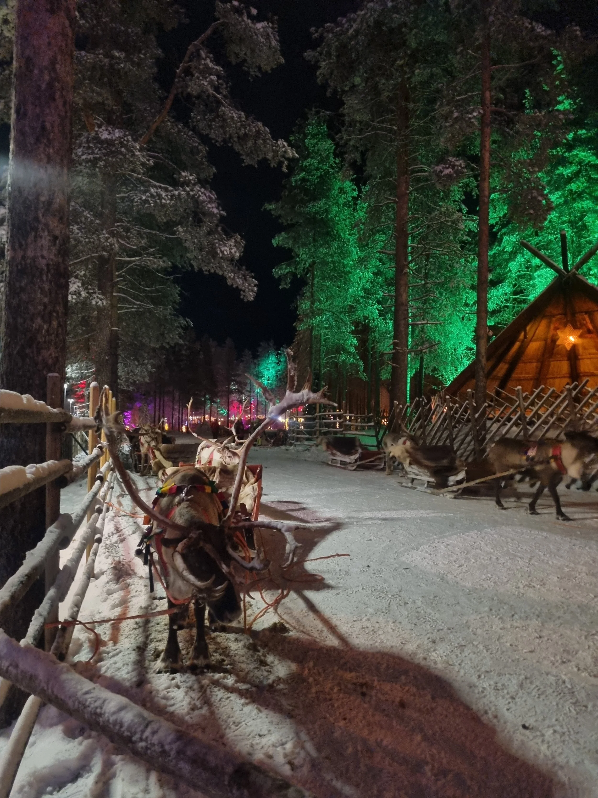 22 Best Rovaniemi Activities with Kids: Winter Safaris, Santa &amp; Family Itineraries