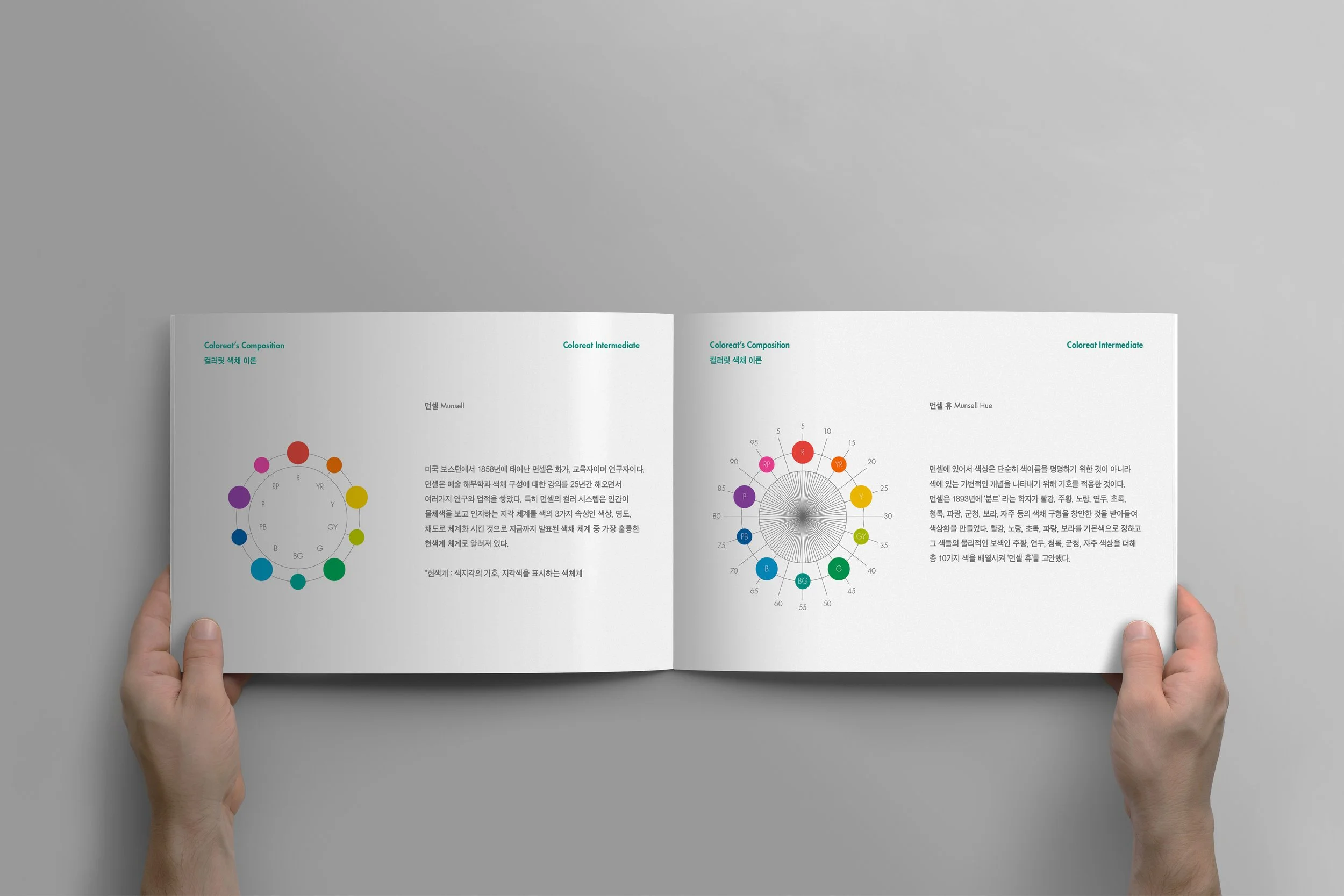 컬러릿 인포메이션 북
