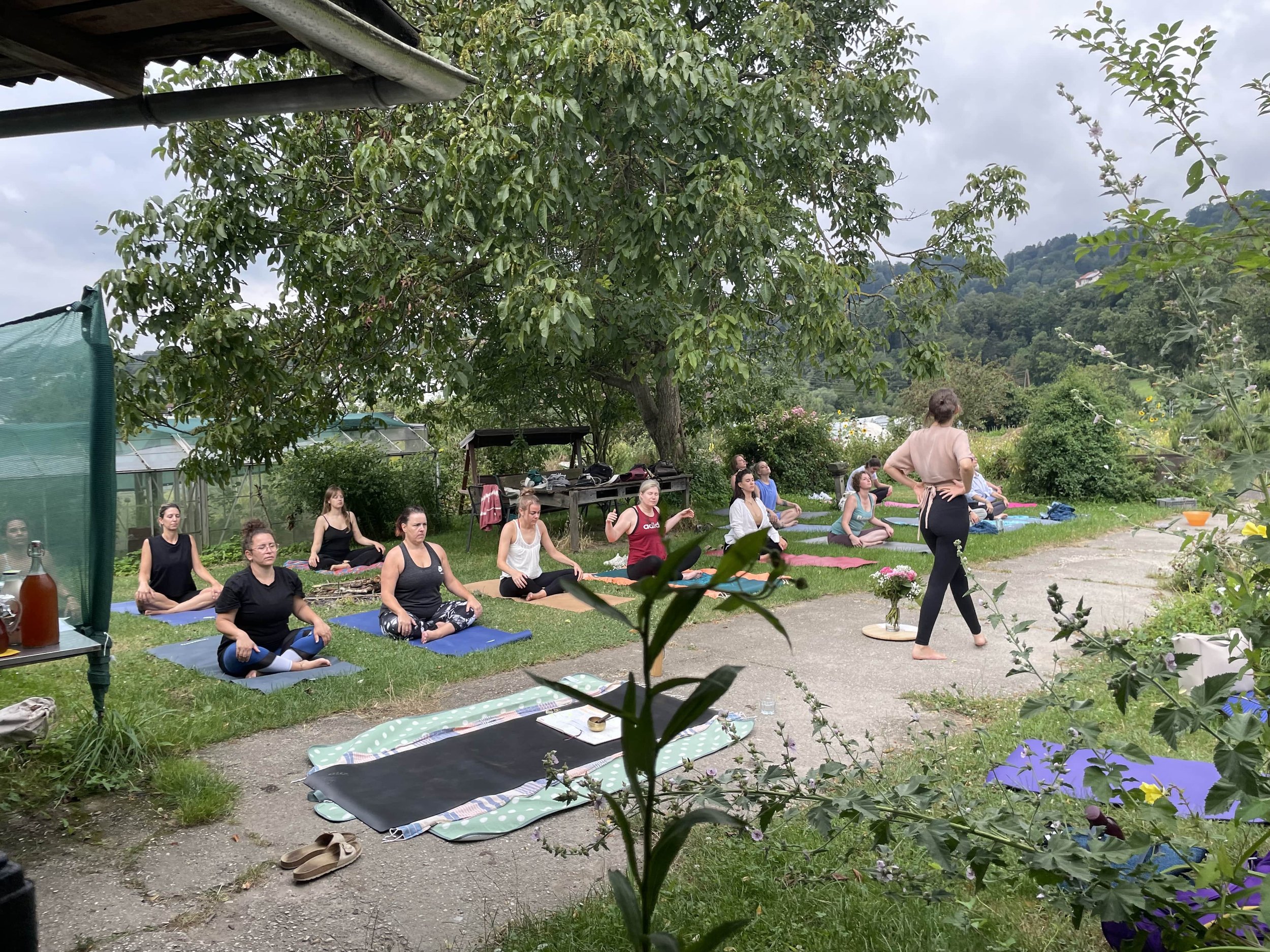 Gärtnerei Linz Yoga im Grünen.jpeg