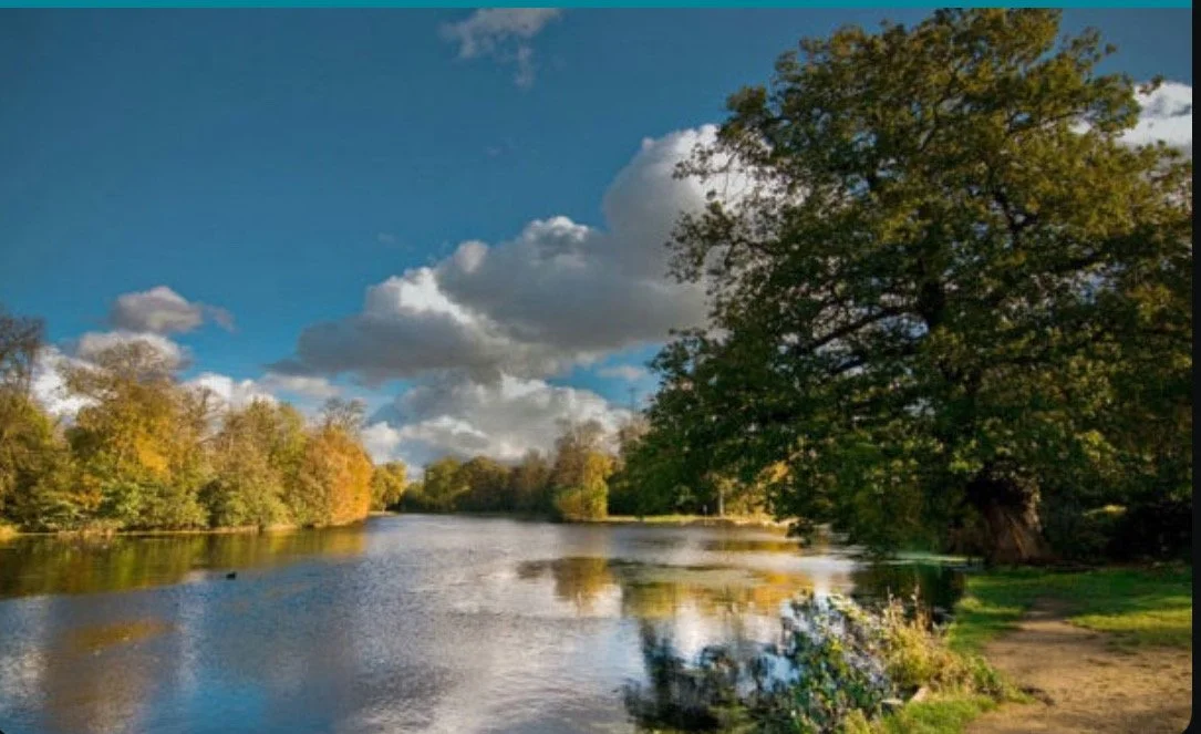 Hike and Roast dinner: Wanstead Village Bound via High Beach Ghost, Frost &amp; Forgotten Forest