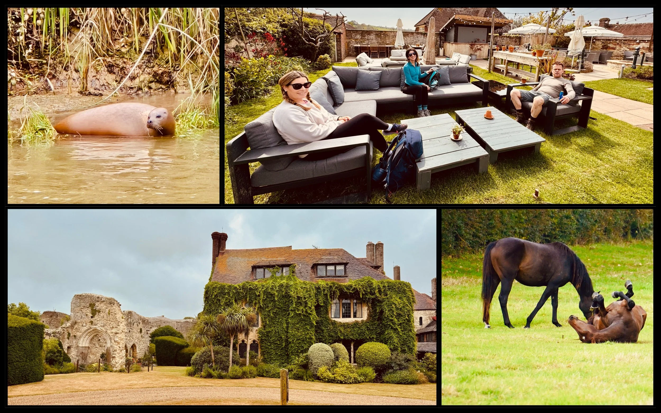 Two Castles, Two Villages, Two Hikes, Market, Rooftop lounge: Arundel &amp; Amberley