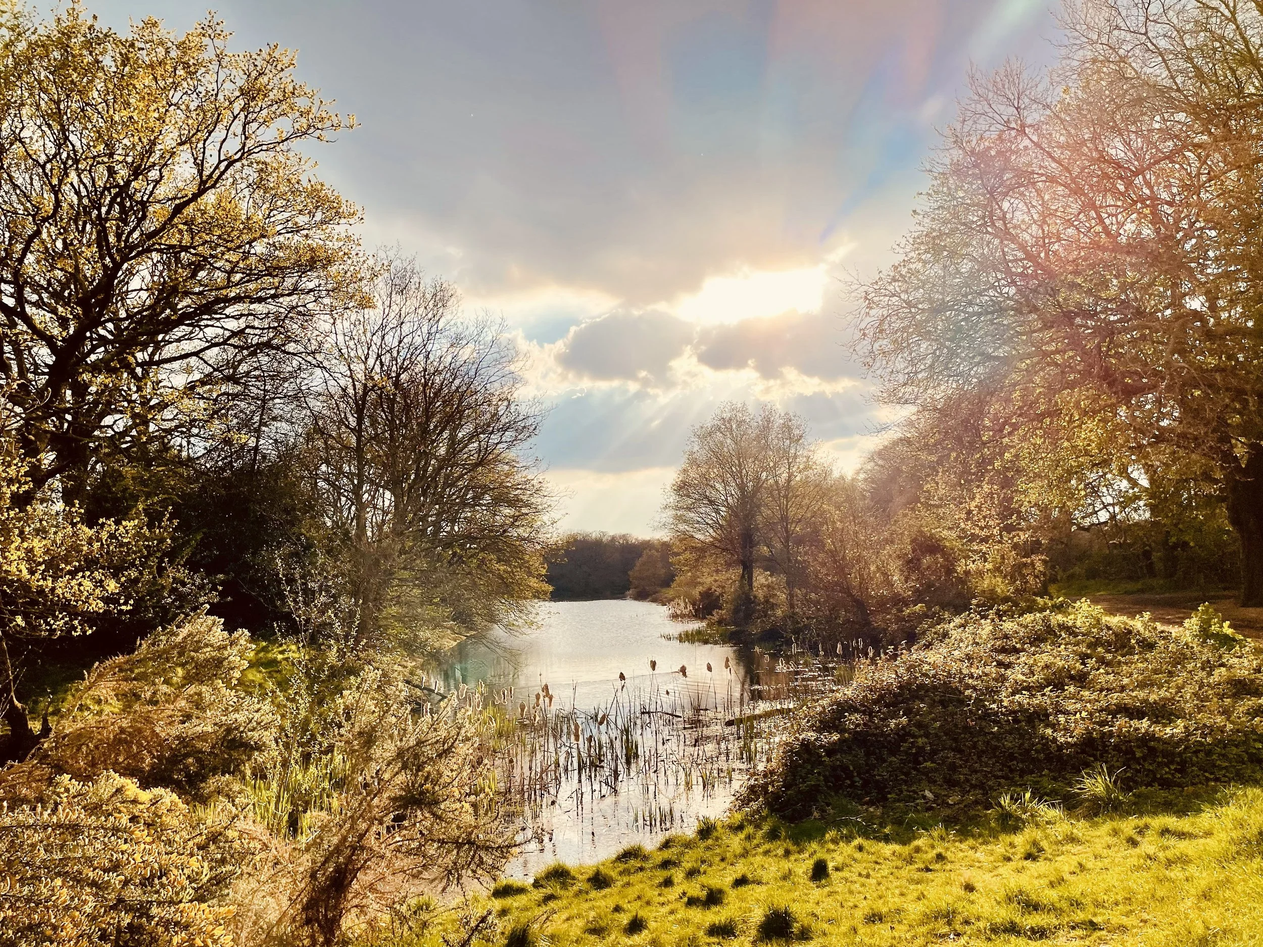Footpath to Festival, Wanstead Village: High beach, Ice Cream Vans to Rock Bands