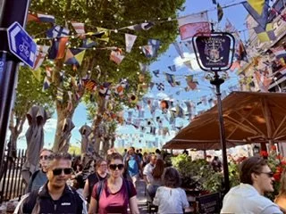 IMG_8549.jpeg