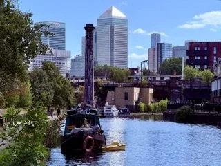 IMG_8501.jpeg