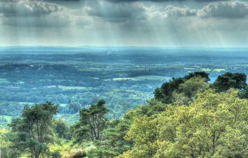NEW ⛰️ London County Tops Challenge 3: Leith Hill &amp; Boxhill