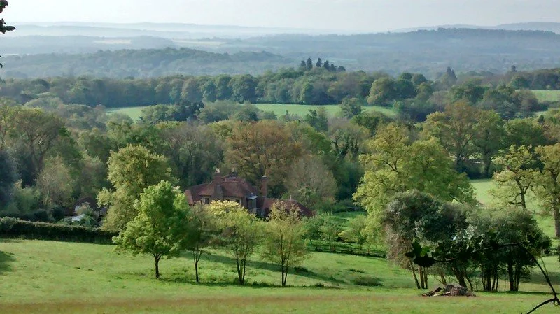 NEW ⛰️ London County Tops Challenge 4: West Sussex: Black Down