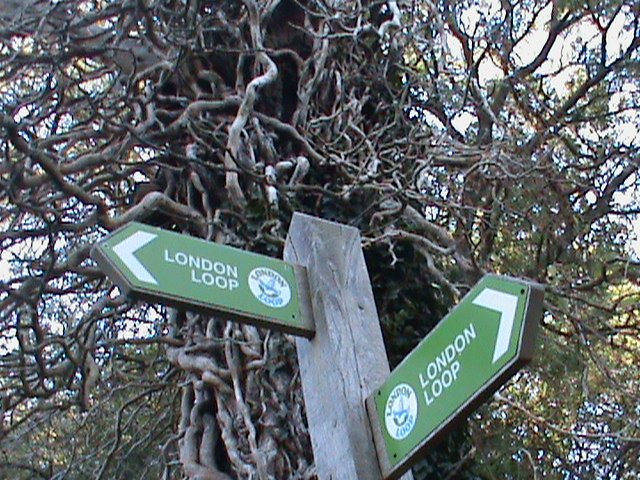 NEW:🧭London Loop New Year Challenge