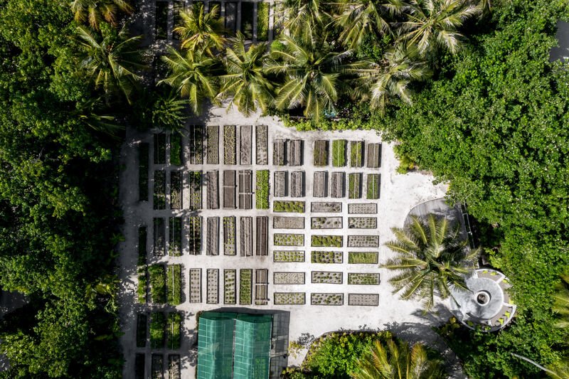 Turning Waste into Wonder: Inside Gili Lankanfushi’s Sewage Treatment Plant
