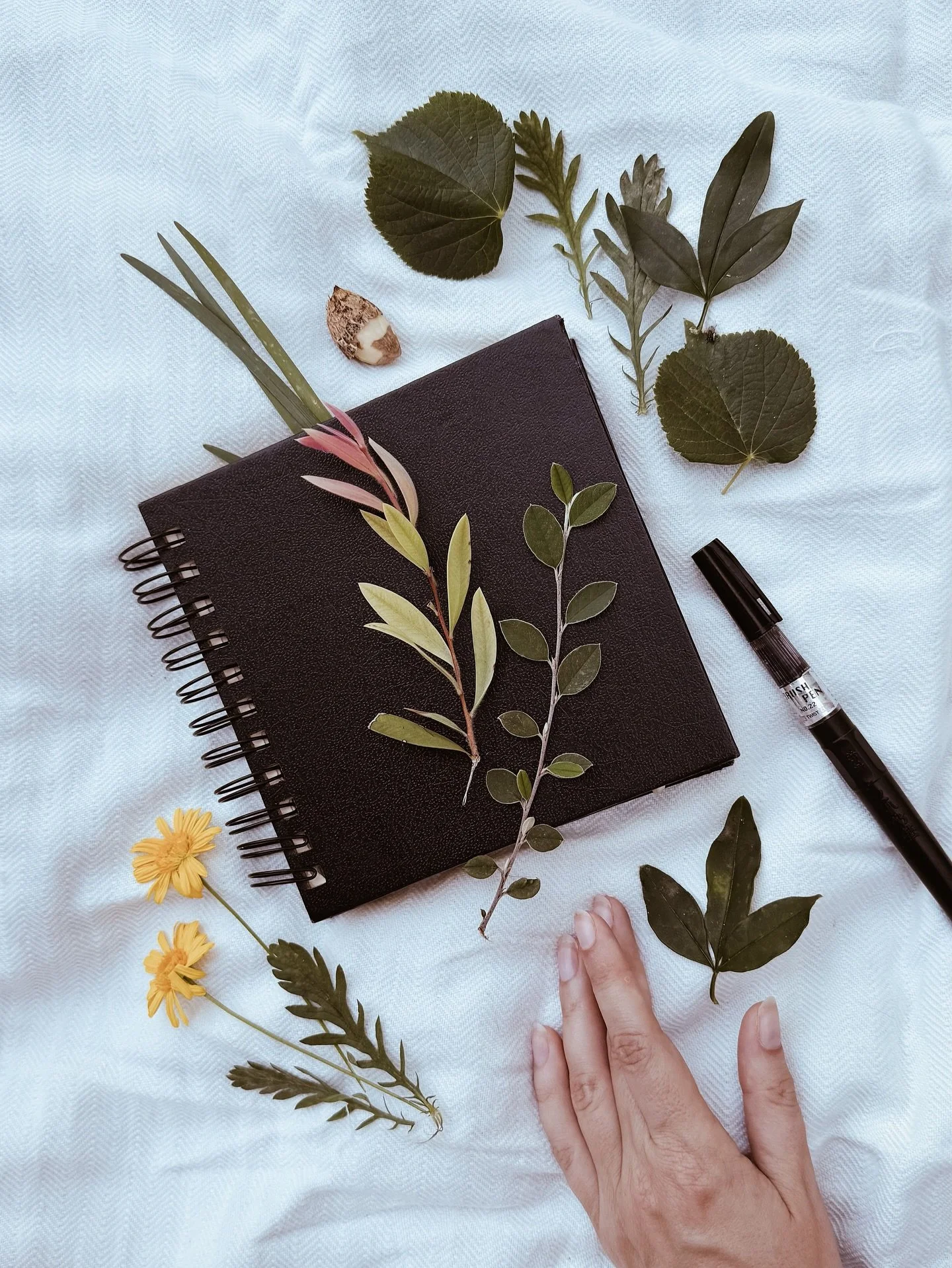 Just a little bit inspiration from one of my favorite place in Lisbon