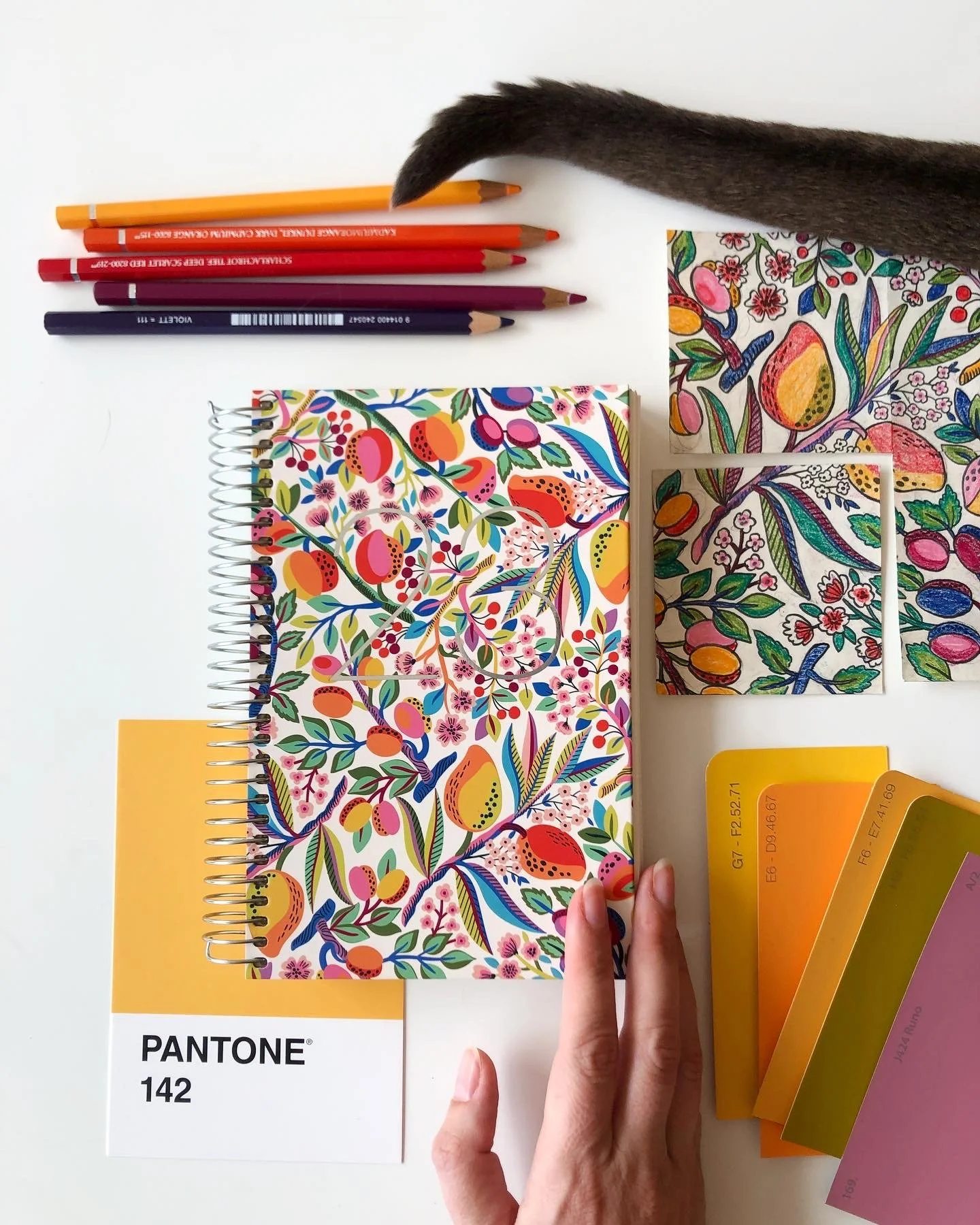 MAQUELRIUS - stationery