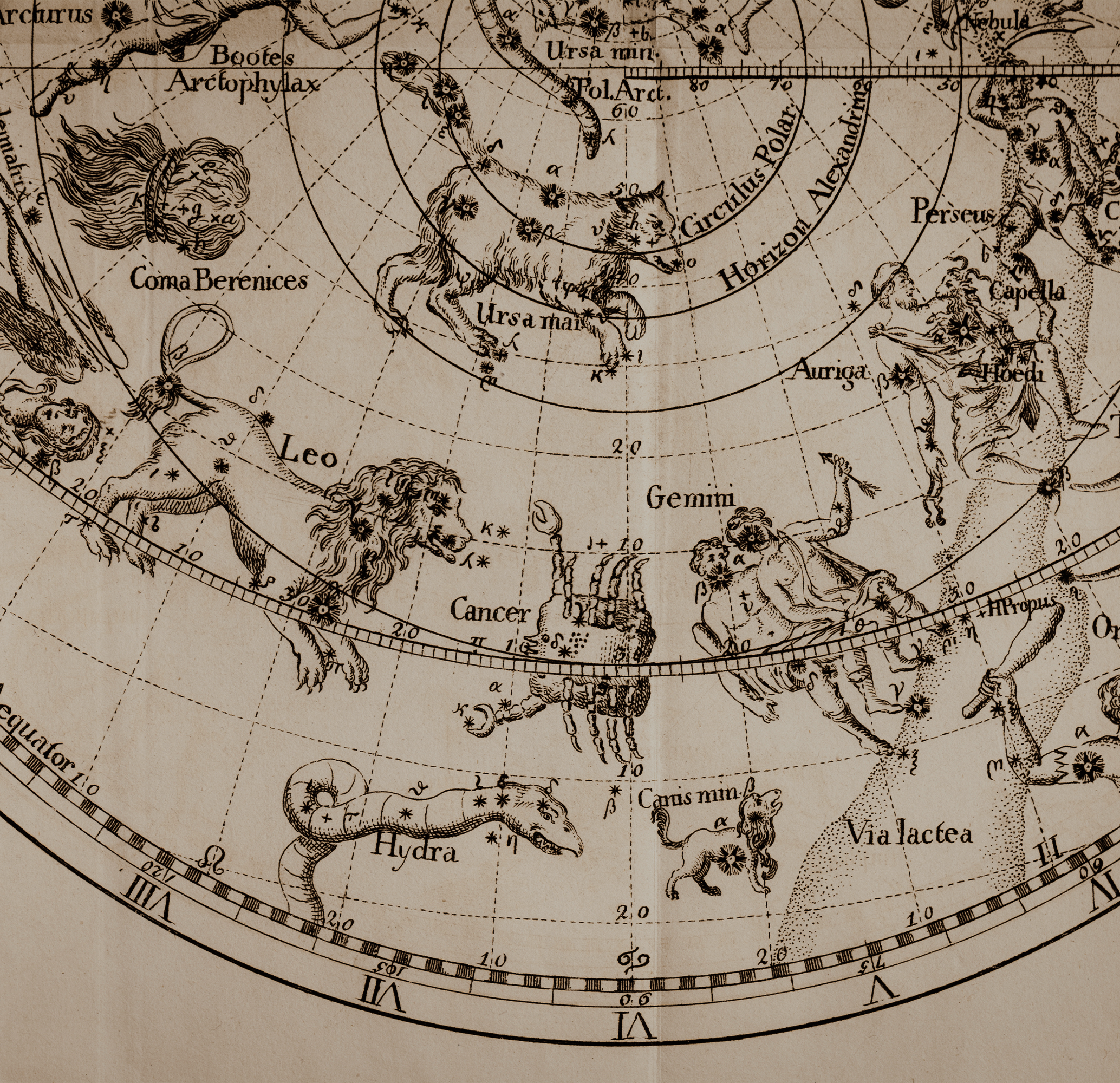 Astronomical chart with Zodiac