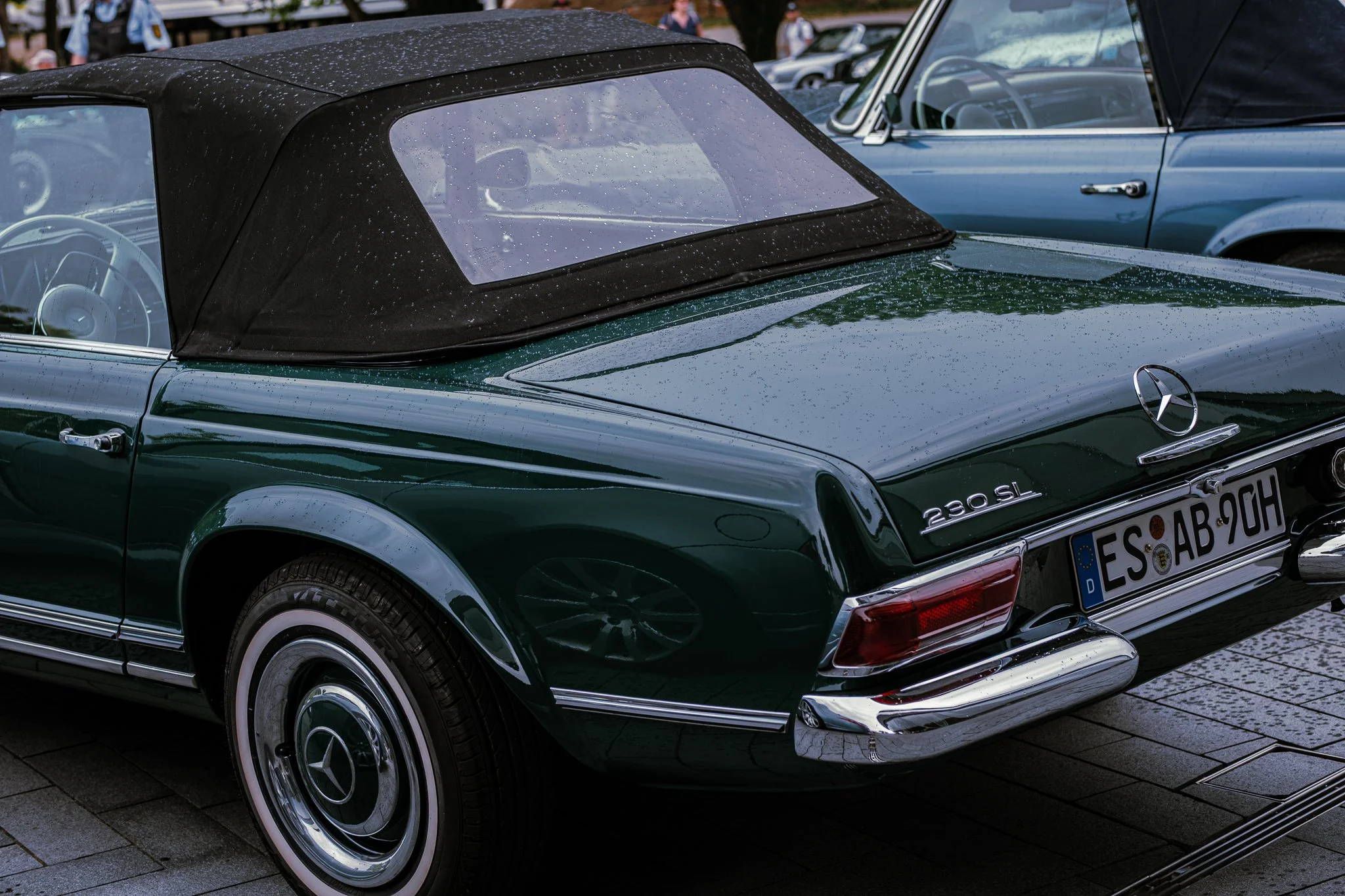 DSCF8637.jpg