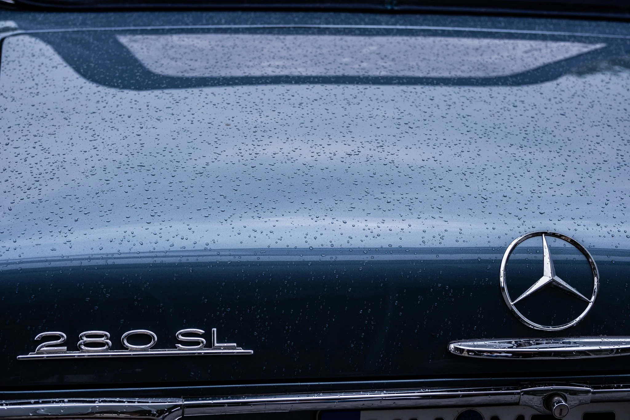 DSCF8640.jpg
