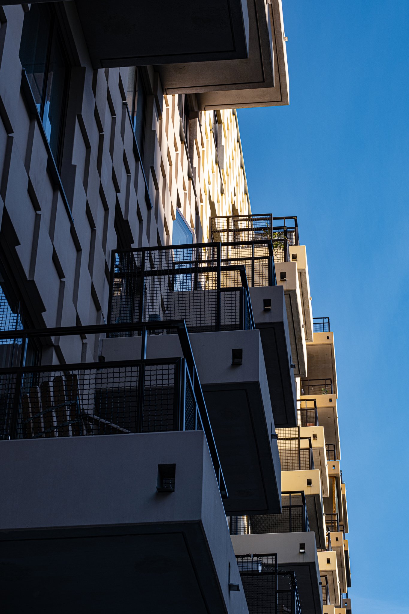 DSCF5049.jpg