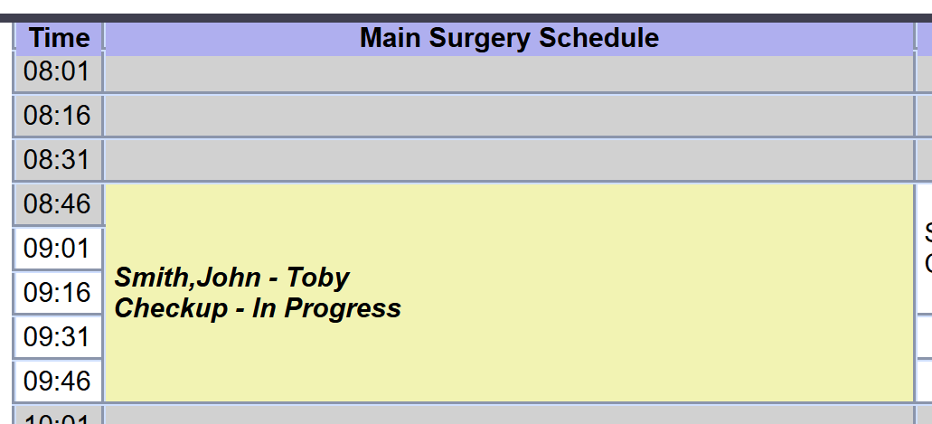 An appointment scheduled within OpenVPMS highlighted yellow