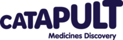 Transparent Image MDC.jpg