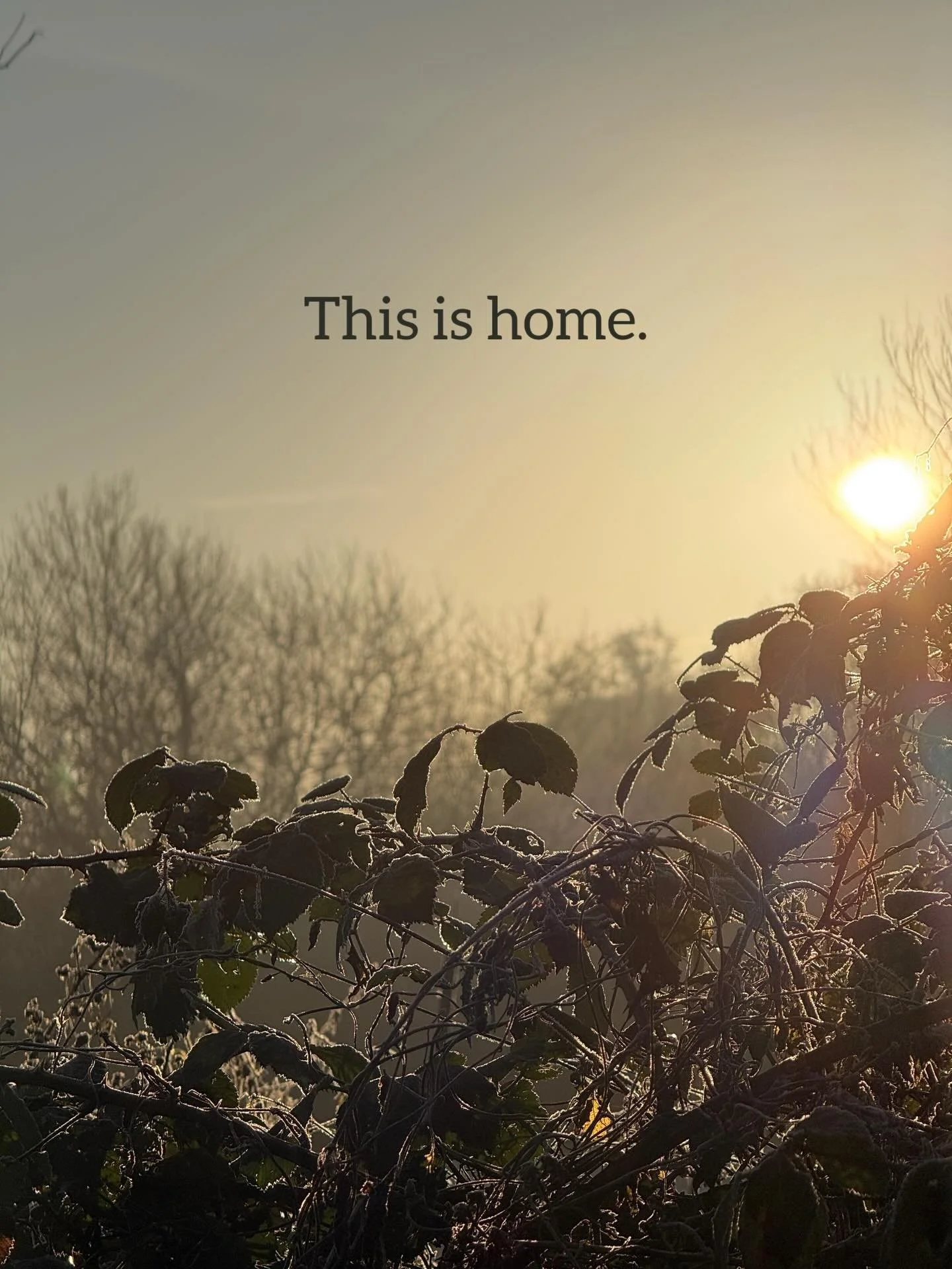 This is home.

The frost, the soft winter light, the untidy edges of meadows and hedgerows. It&rsquo;s where my ideas come from. 

I&rsquo;m endlessly inspired by the nature I live alongside in Norfolk, and it&rsquo;s why so much of my planting is na