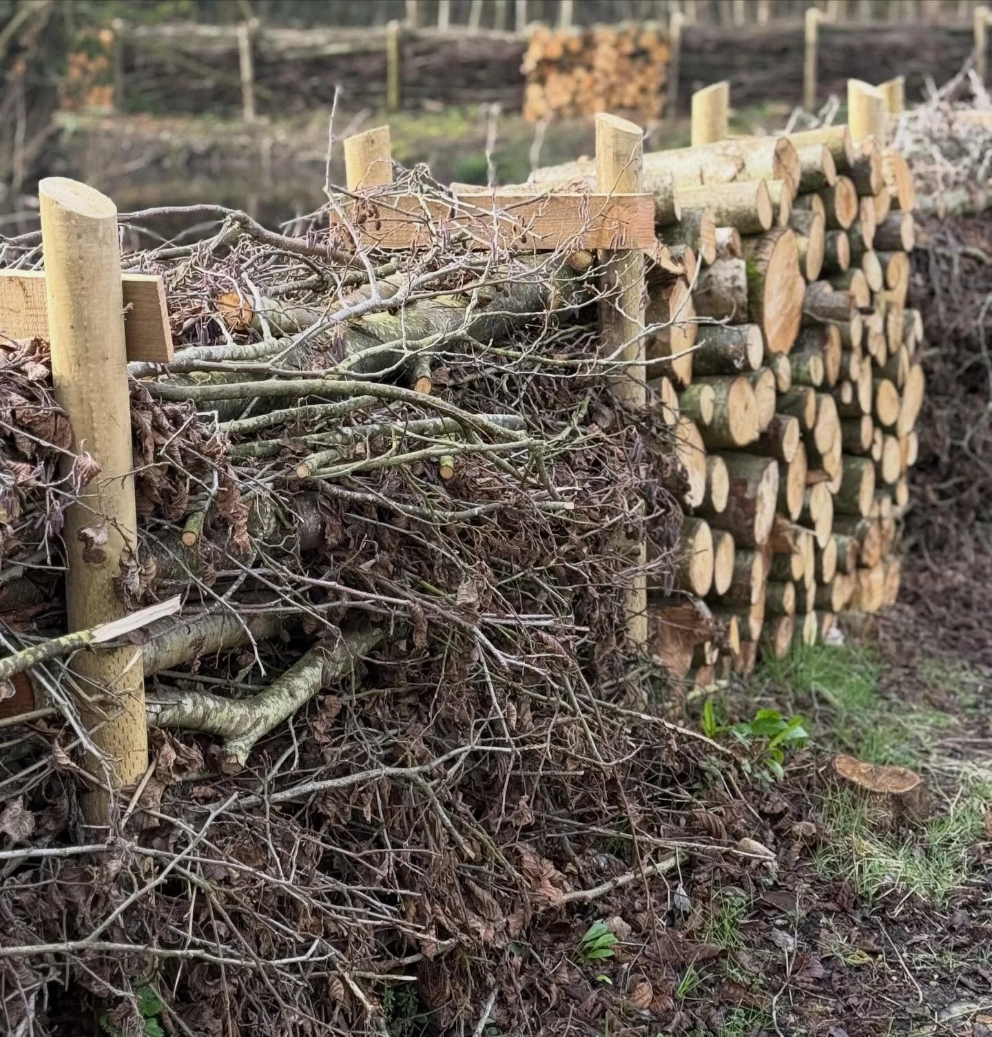 Building a dead hedge is a simple, natural way to reuse the stems, prunings, grasses and seed heads cleared during garden tidy-ups.

The material can be stacked between stakes to create a loose, living boundary that slowly settles and decomposes over