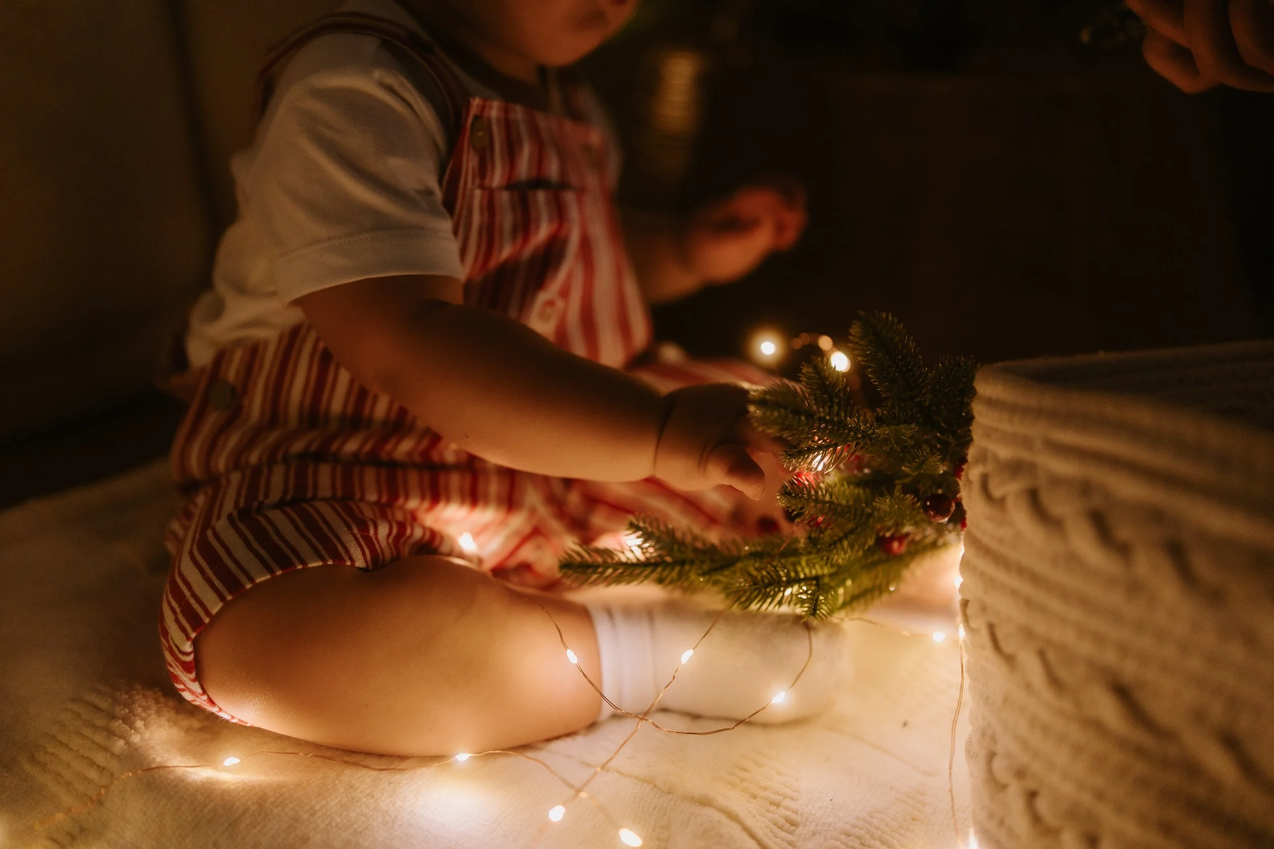Christmas Minis Promo-9.jpg