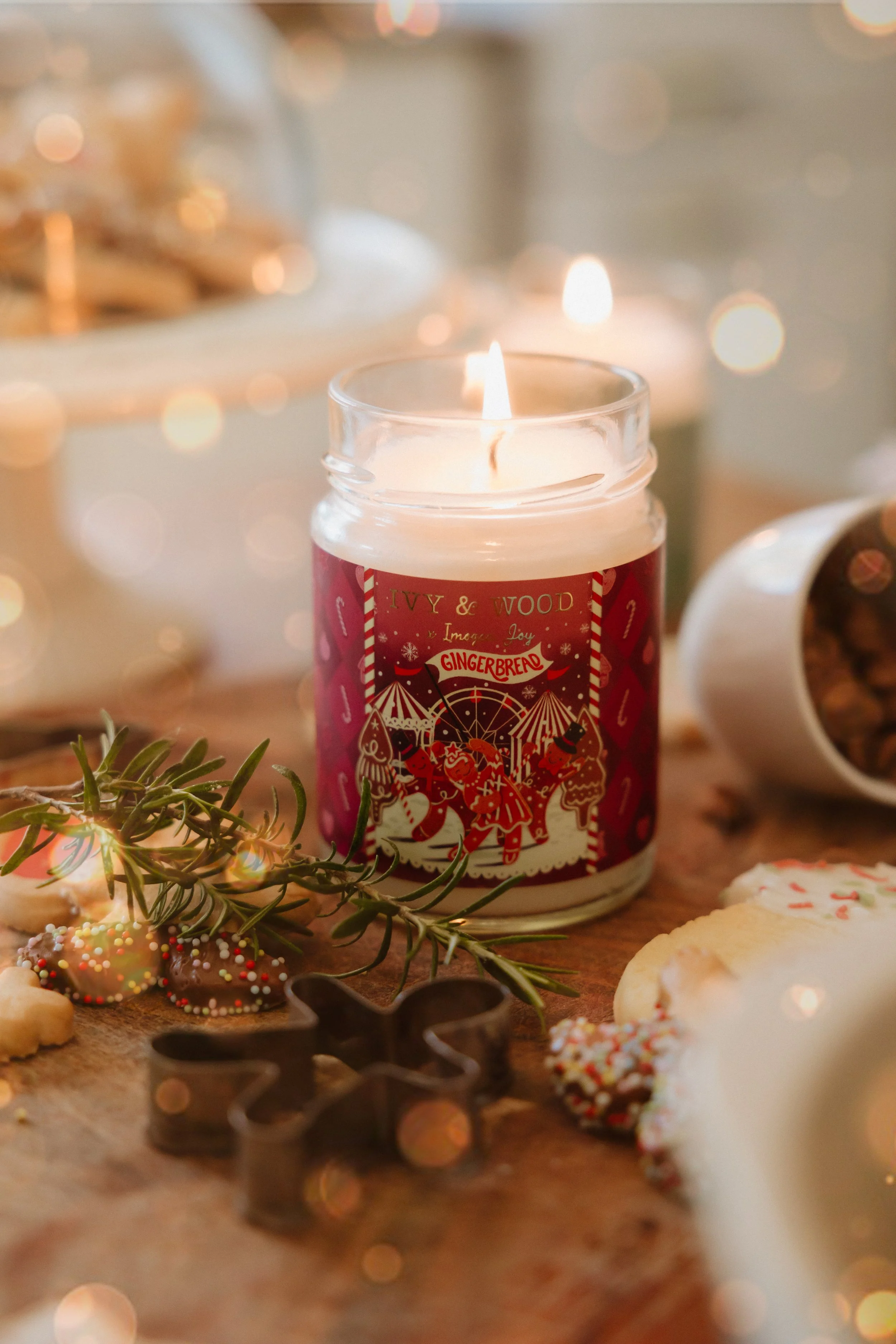 O'Dwyerfamily_ChristmasMinis-139.jpg
