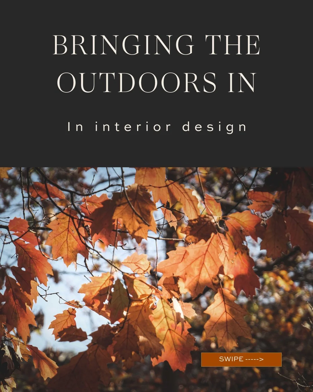 Autumn is the perfect season to let nature inspire your home. From fallen leaves and sculptural branches to pinecones and seasonal bloom, bringing the outdoors in creates spaces that feel warm, grounded, and alive.

Every element has a purpose: to ad