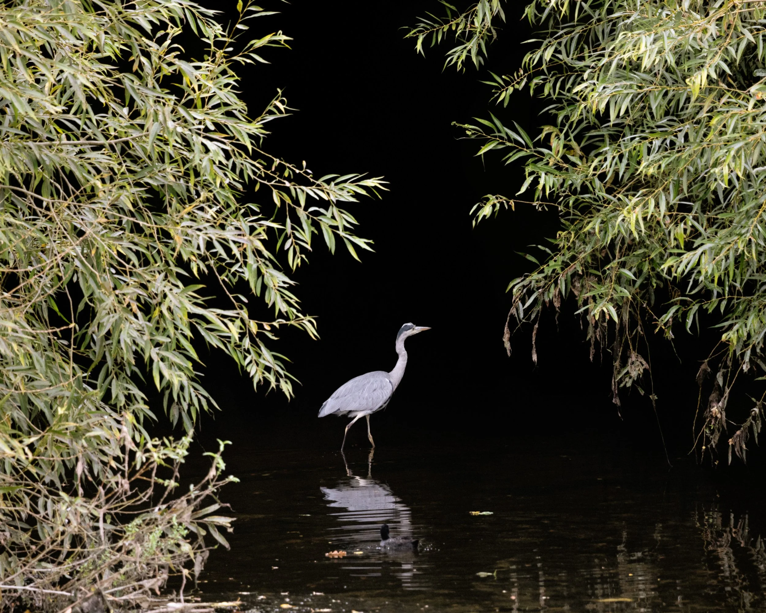 TheHackneyMarshes_FreyaNajade-14.jpg