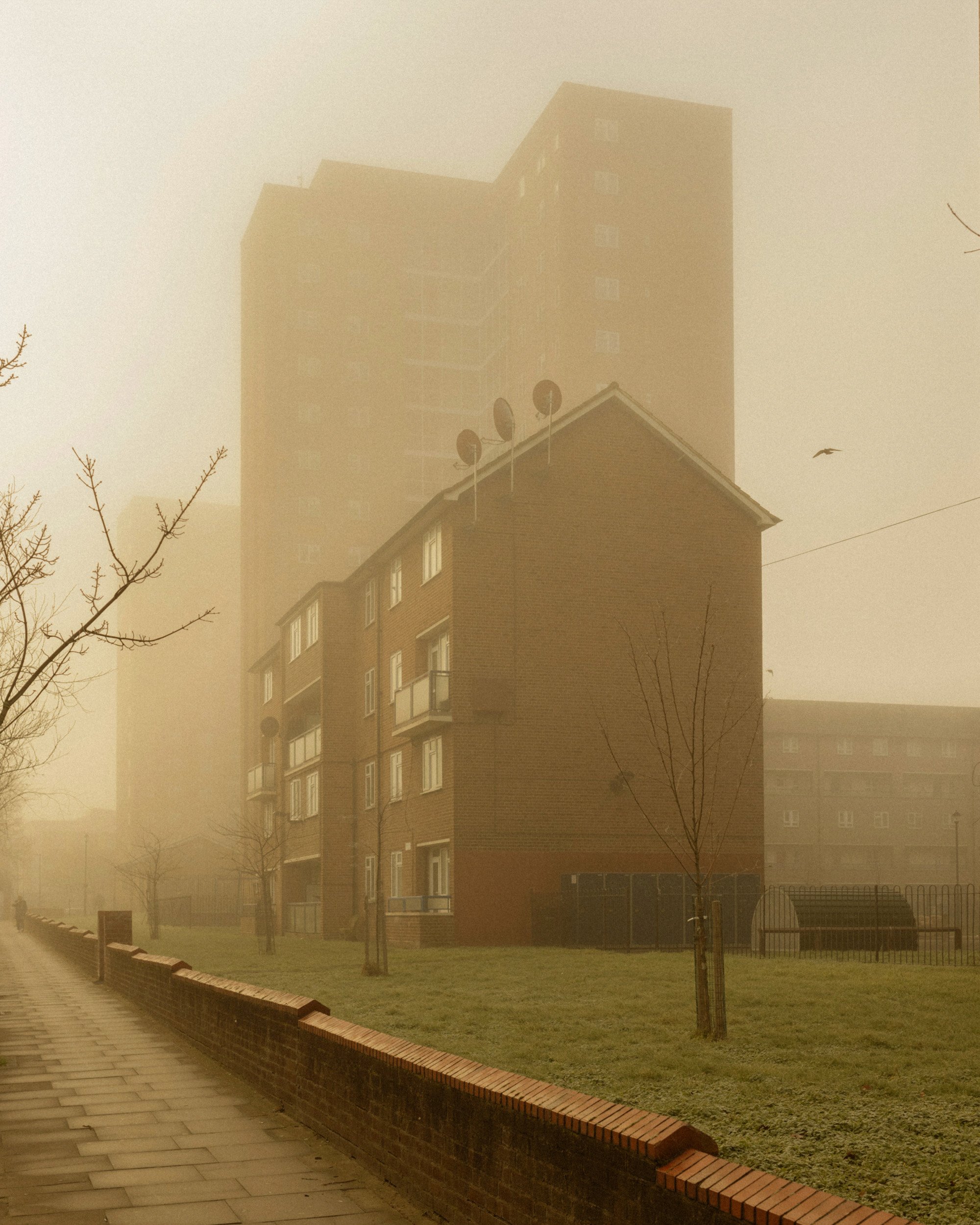 HackneyColours_FreyaNajade-23.jpg