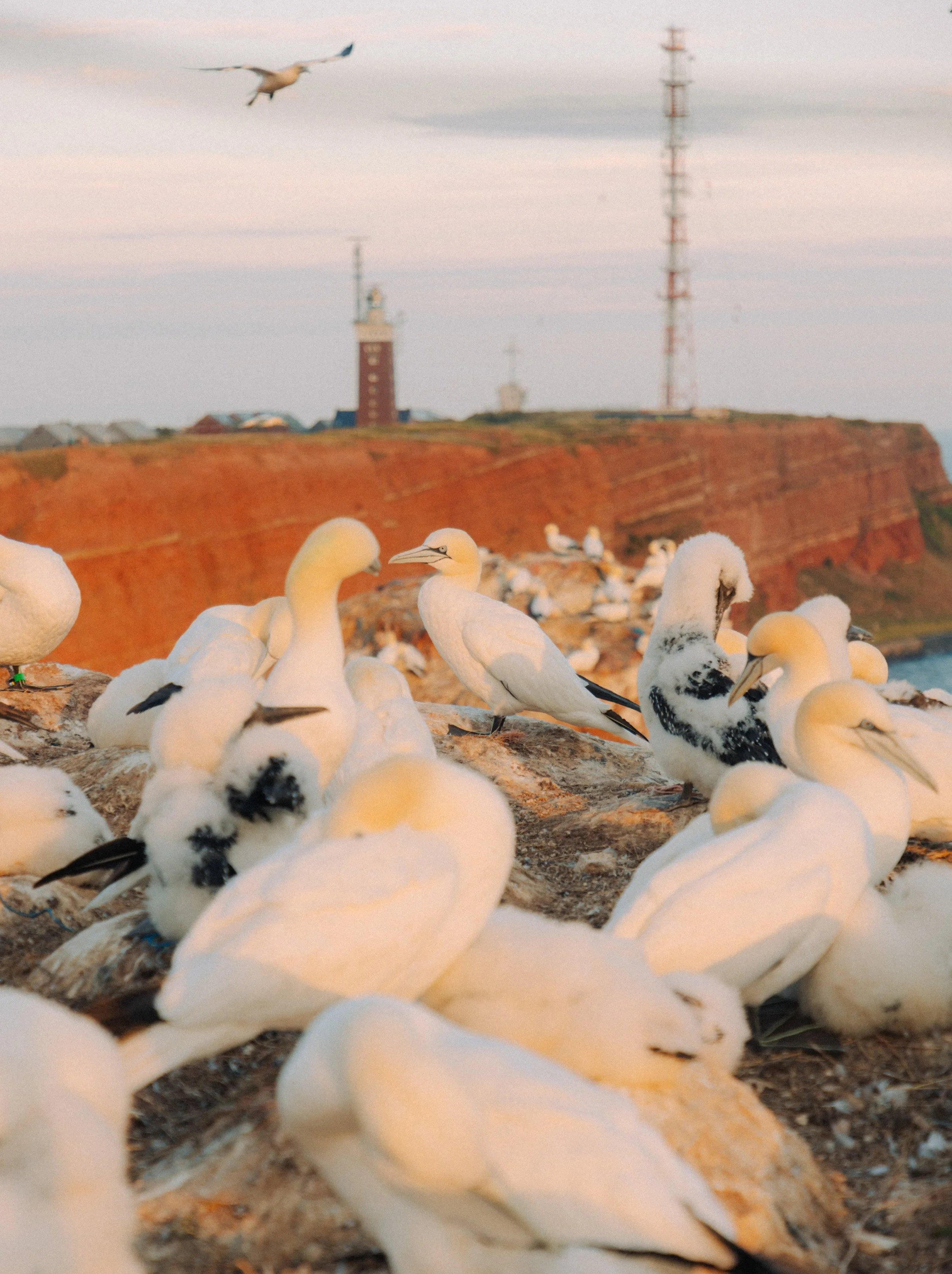 ZeitCampus_Helgoland_FreyaNajade-161.jpg