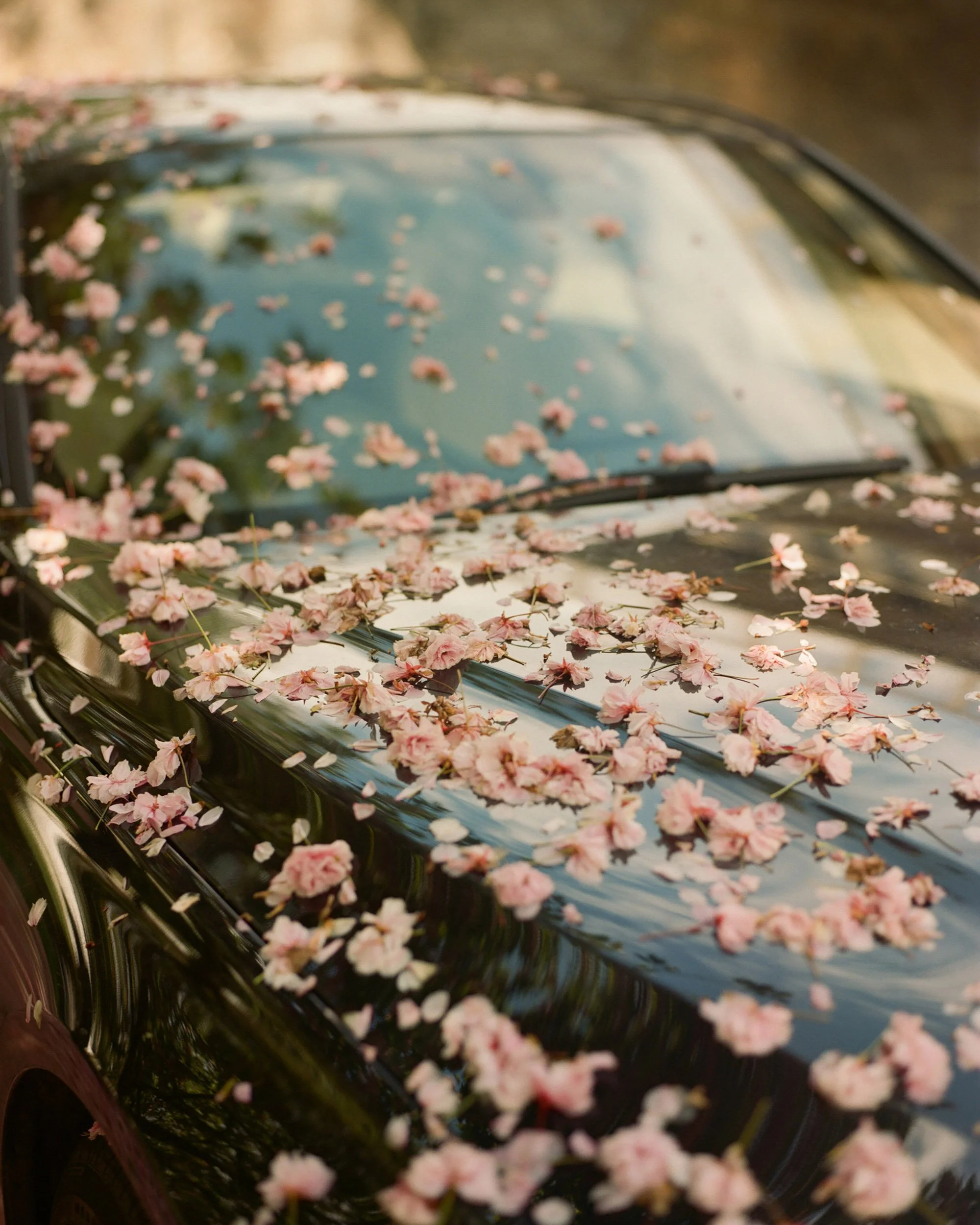 HackneyColours_FreyaNajade-13.jpg