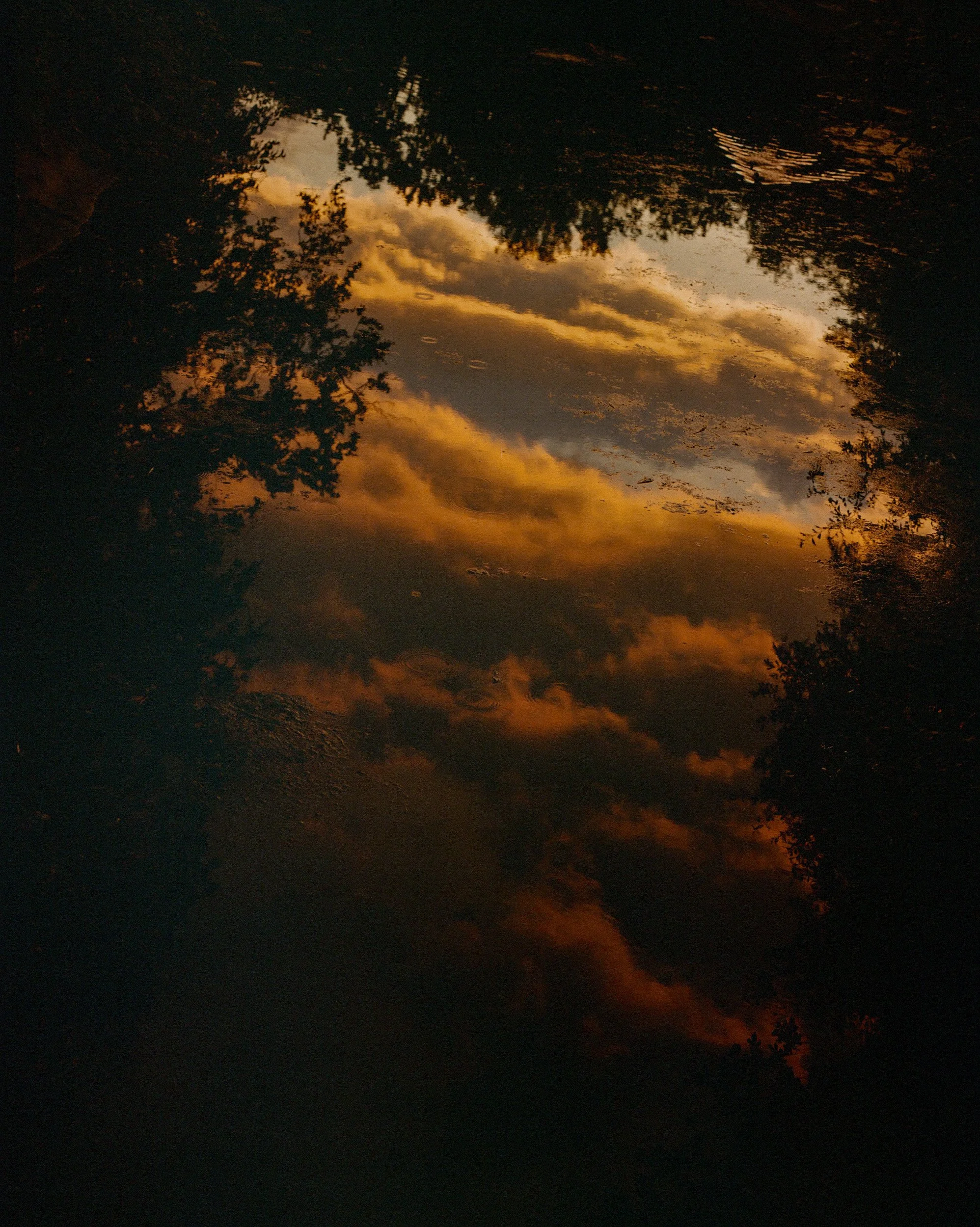 HackneyColours_FreyaNajade-110.jpg