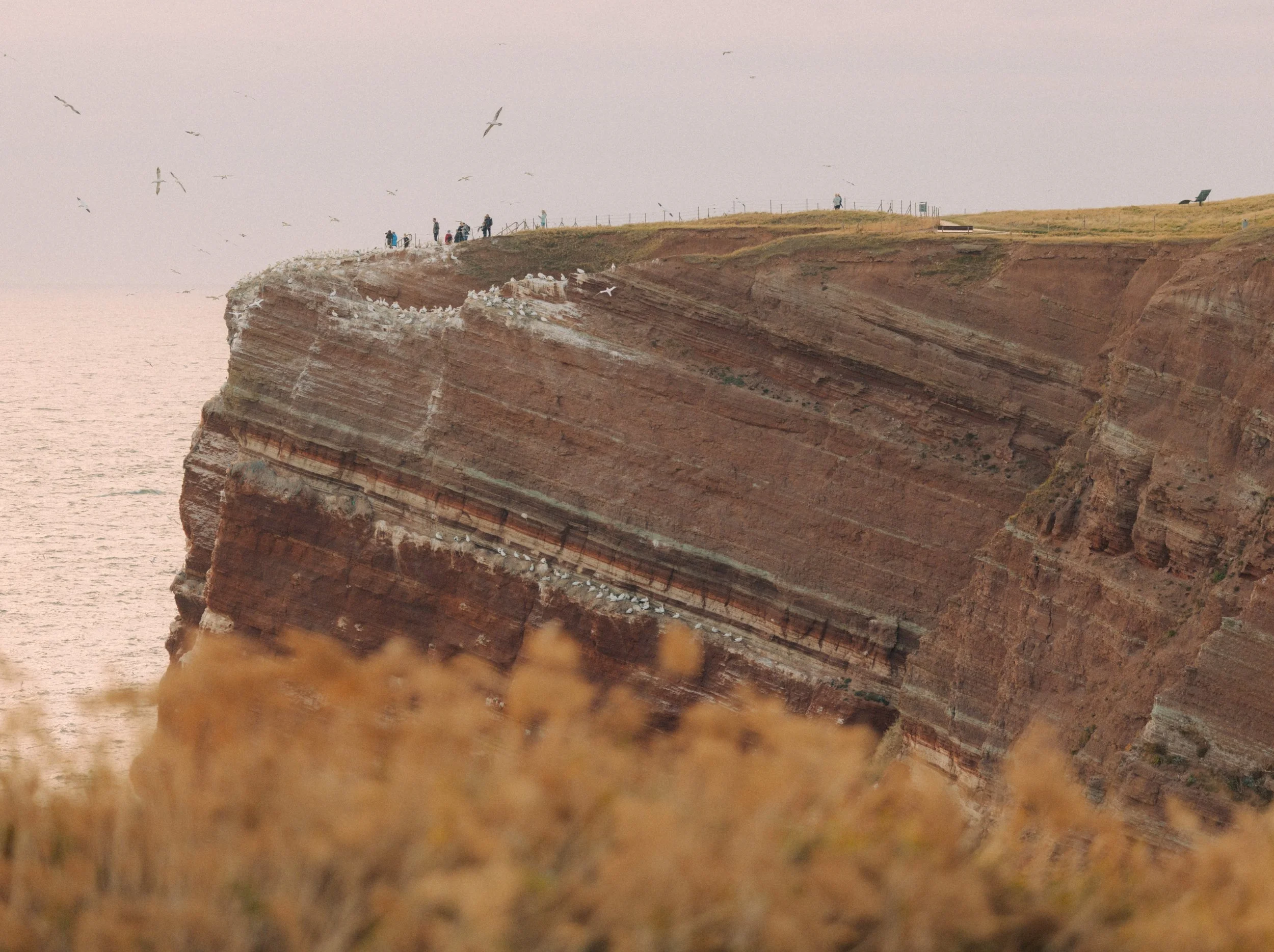 ZeitCampus_Helgoland_FreyaNajade-152.jpg