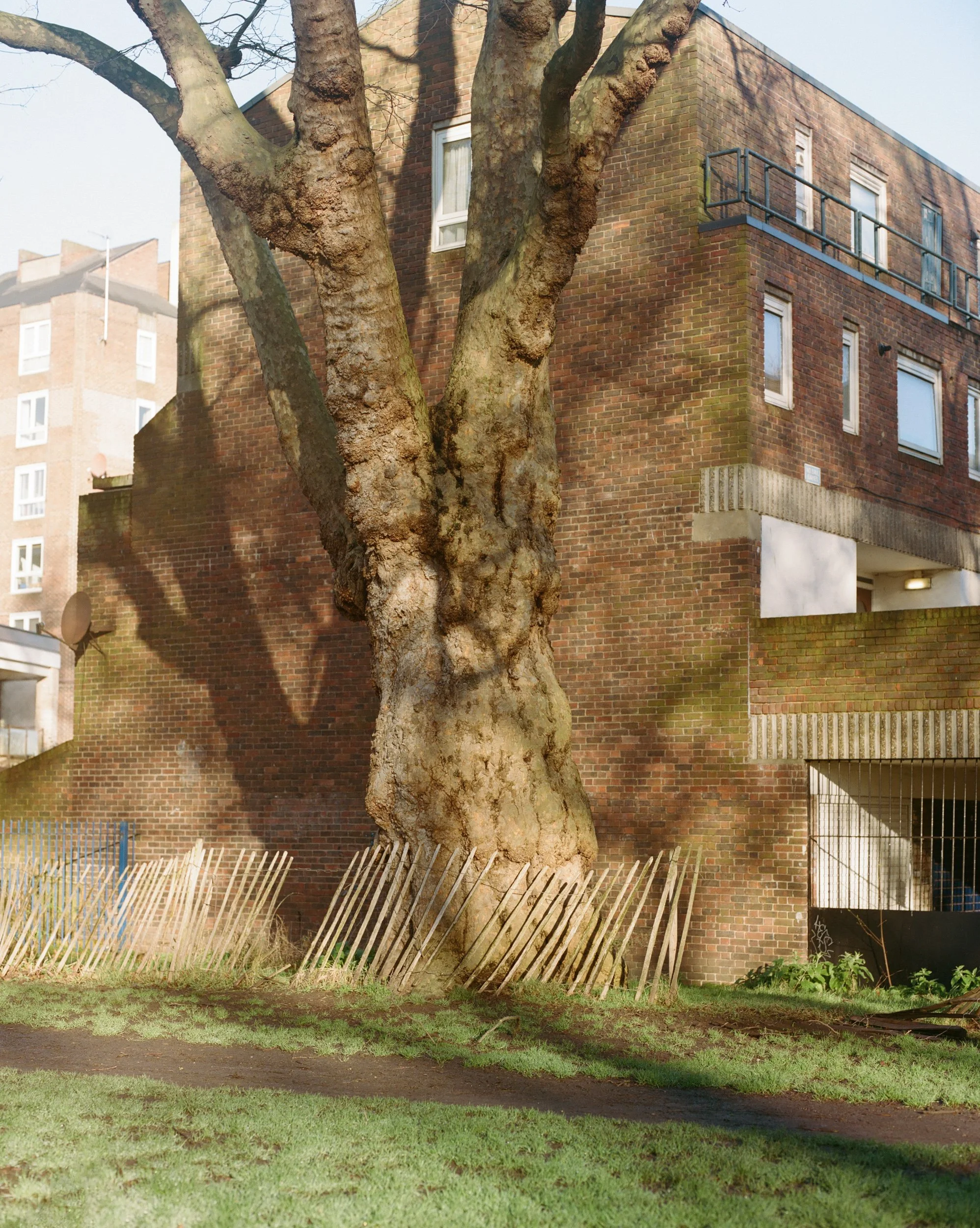 HackneyColours_FN_1-87.jpg