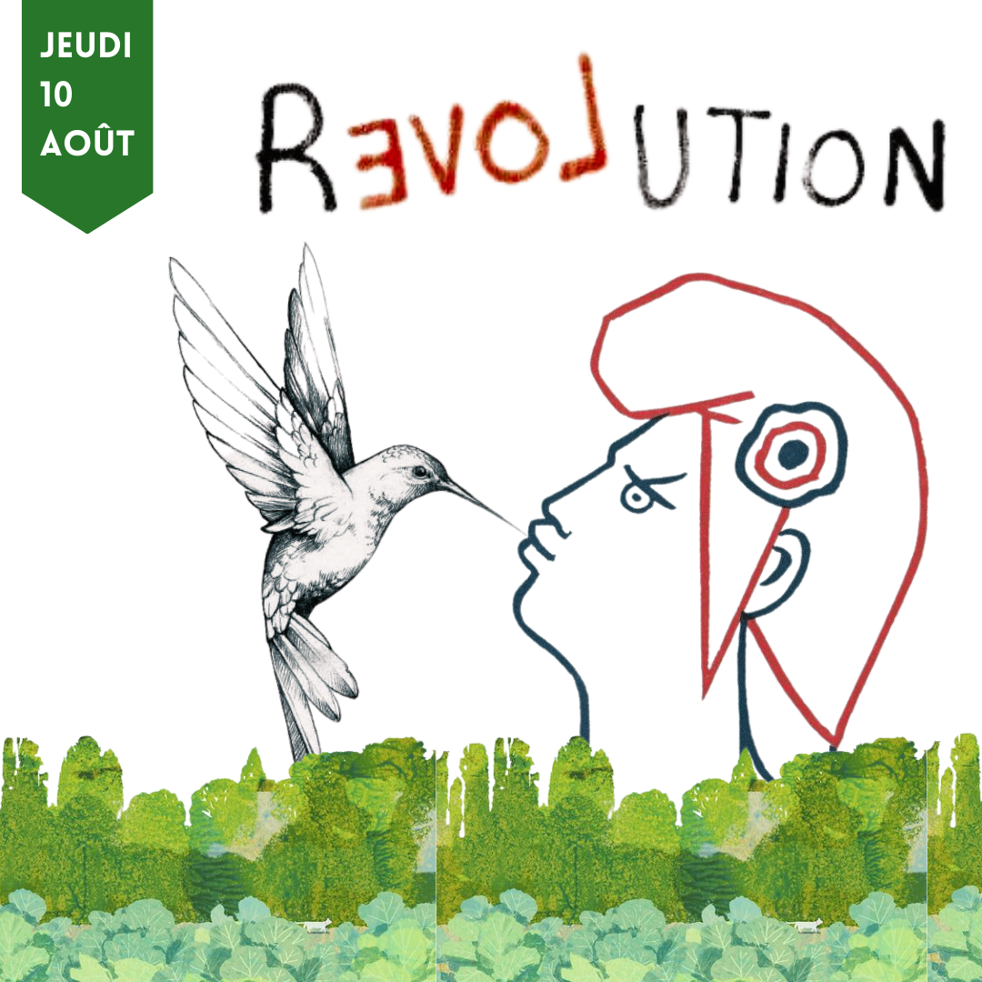 11 Buvette.png