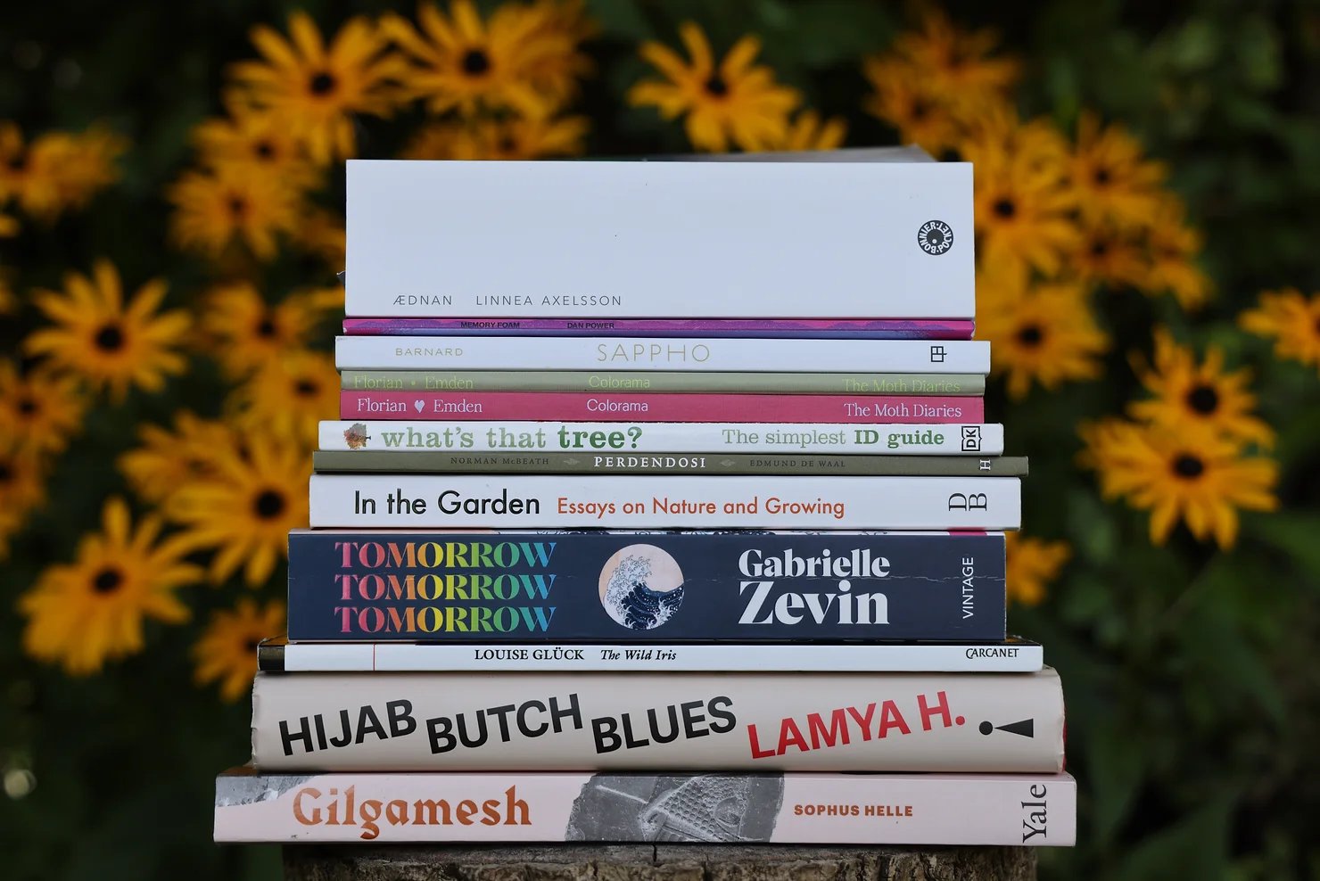 My Summer In Books (2023)