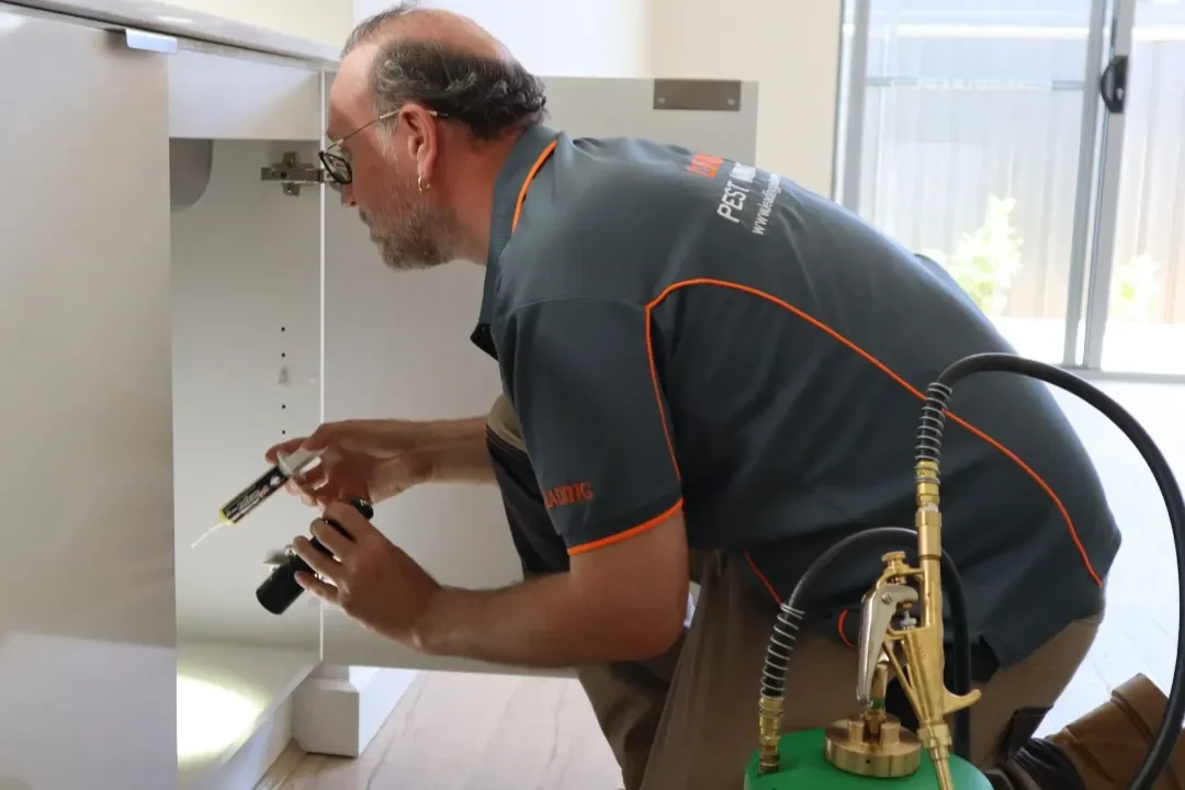 Building and Pest Inspection Woodbine