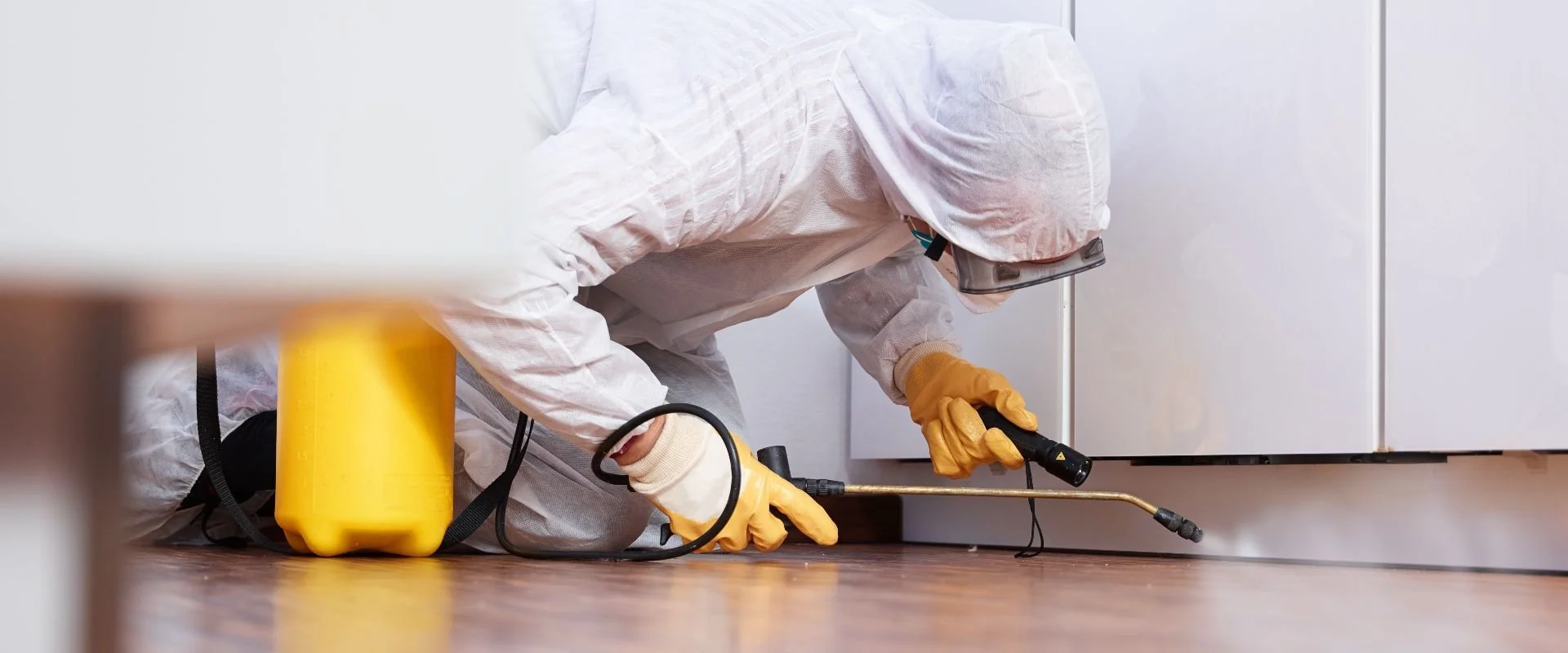 Building and Pest Inspection Kemps Creek | Leading Building & Pest ...